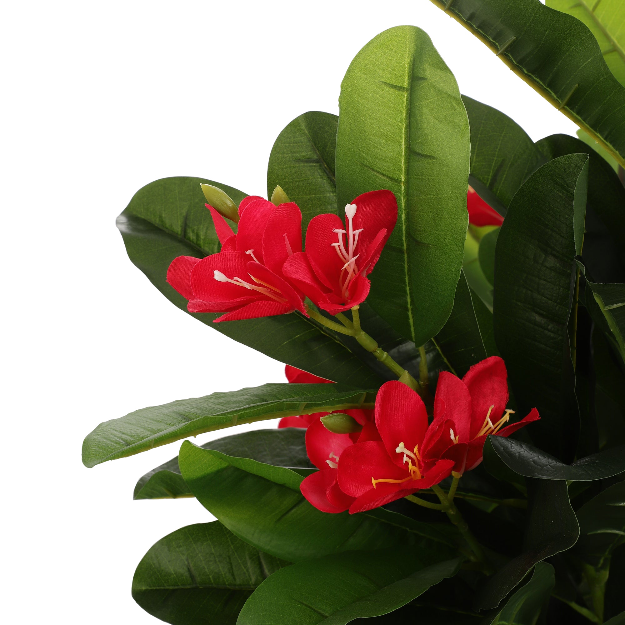 Red Champa Faux Plant