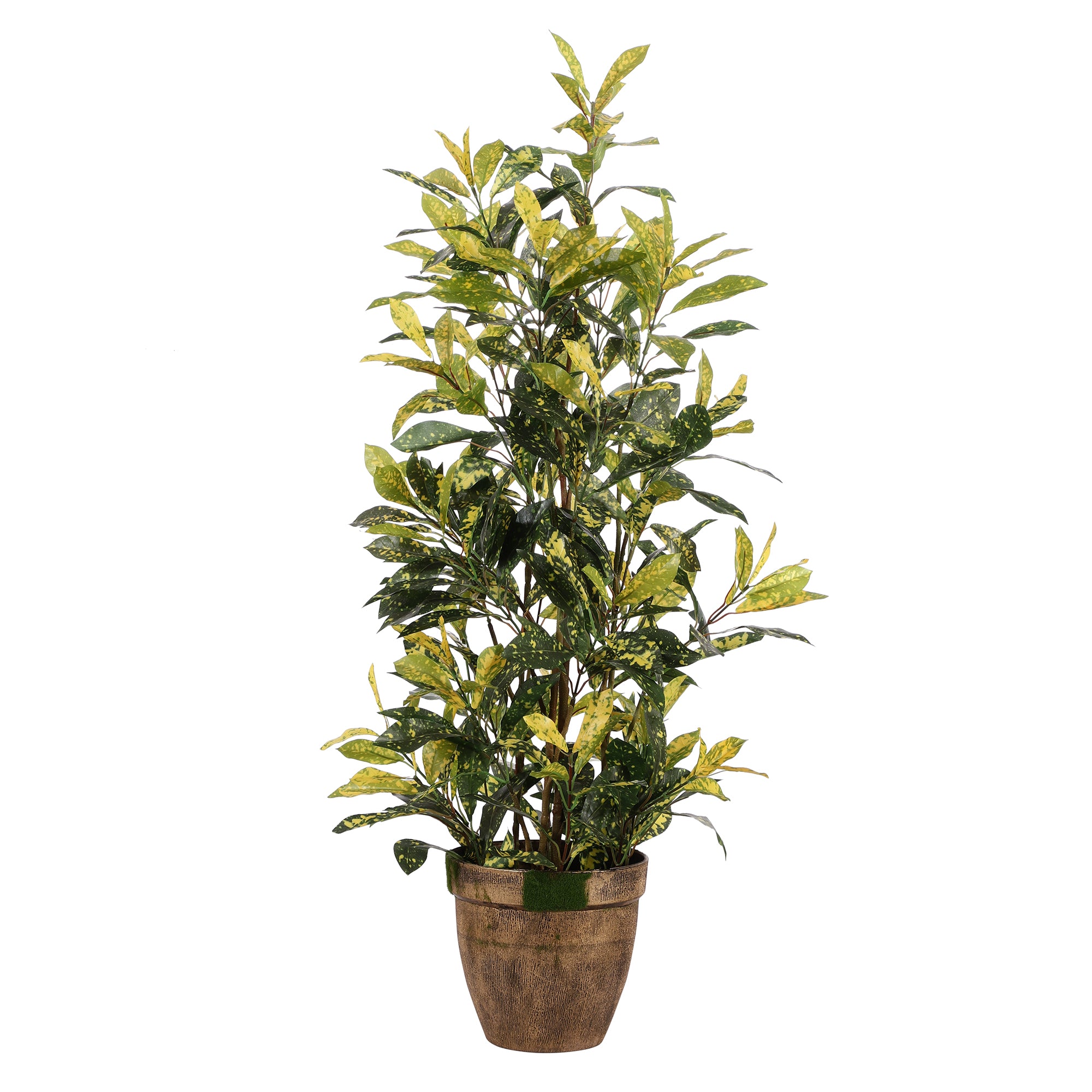 Yellow Freckles Faux Japanese Aucuba with Pot