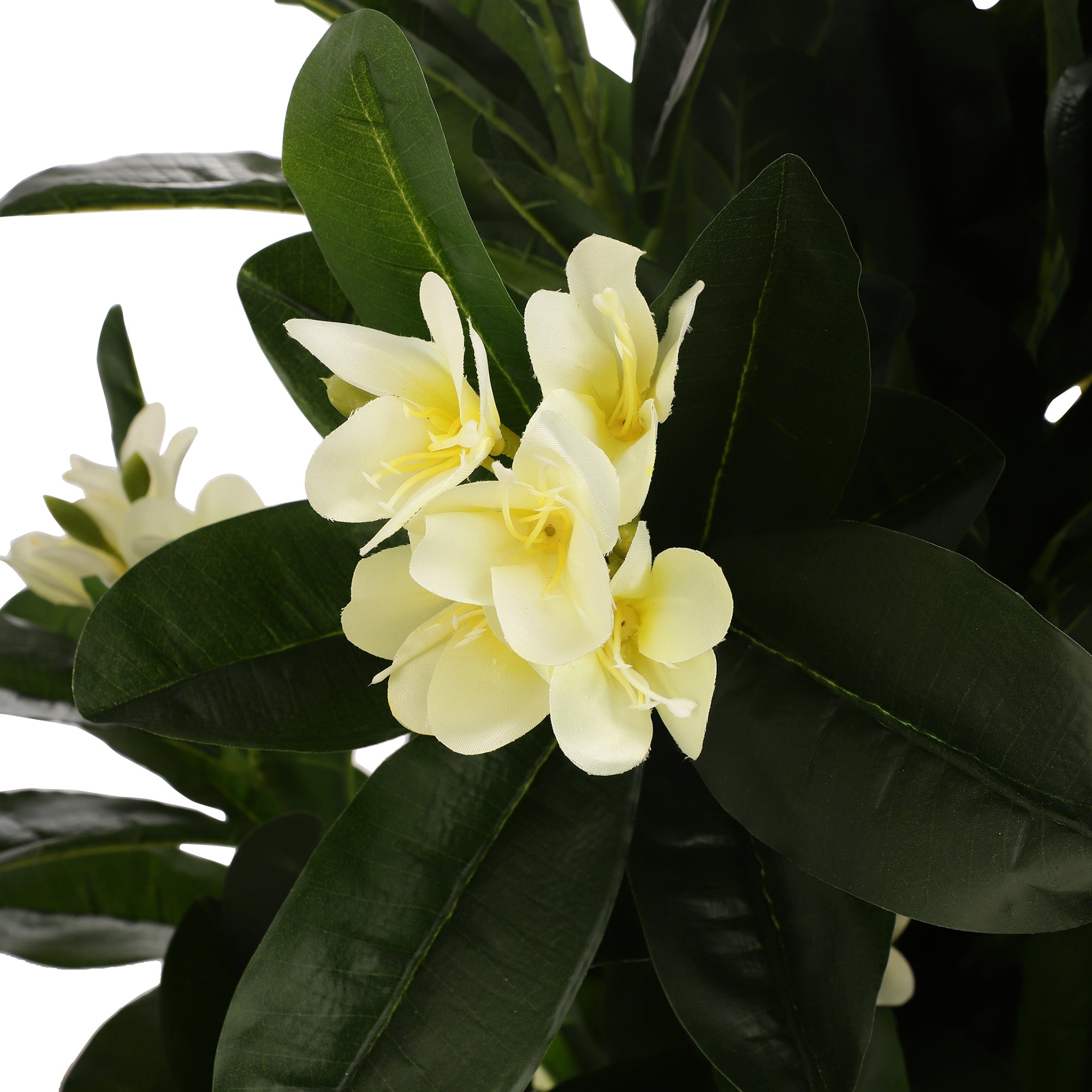 White Champa Faux Plant (Tall)