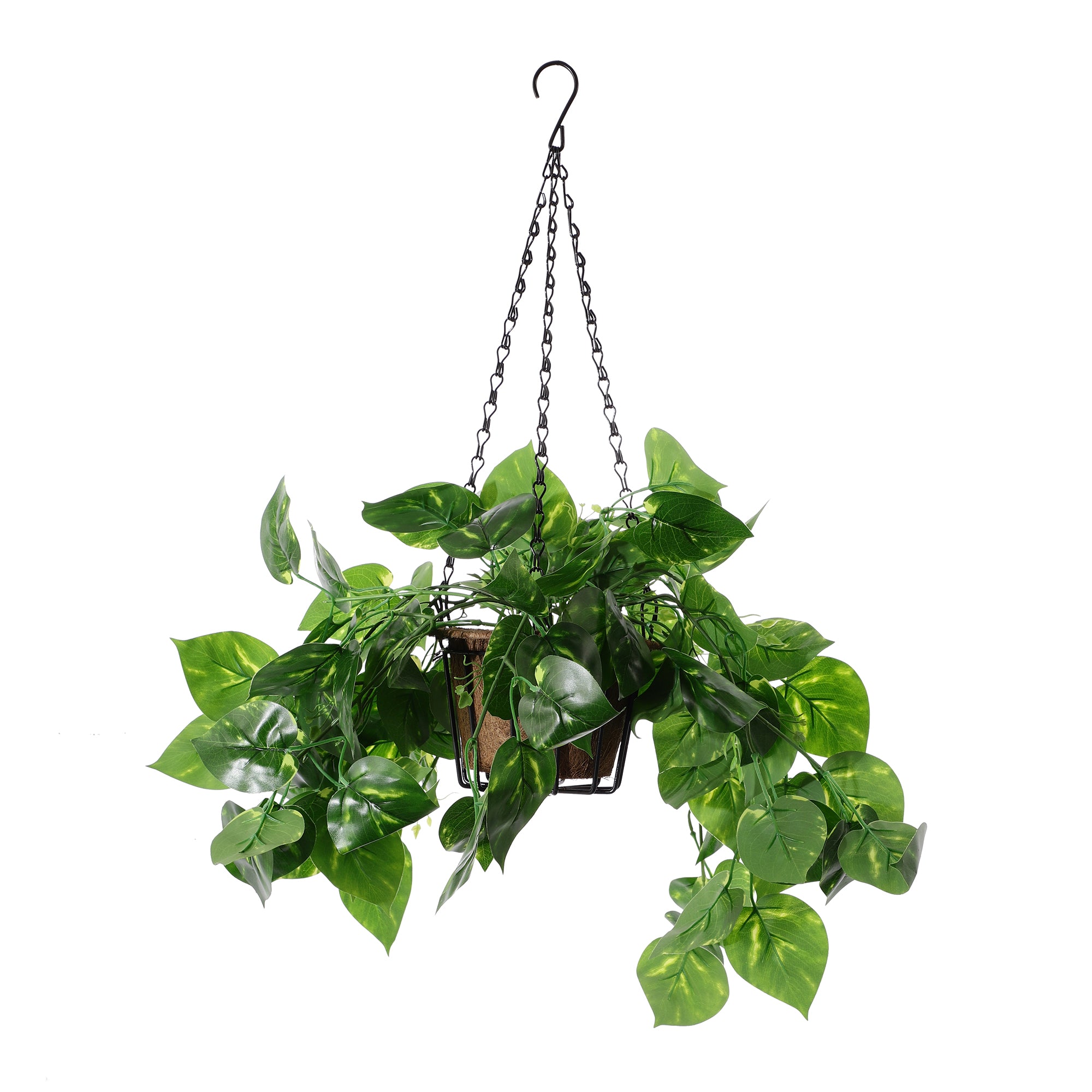 Hanging Faux Money Plant