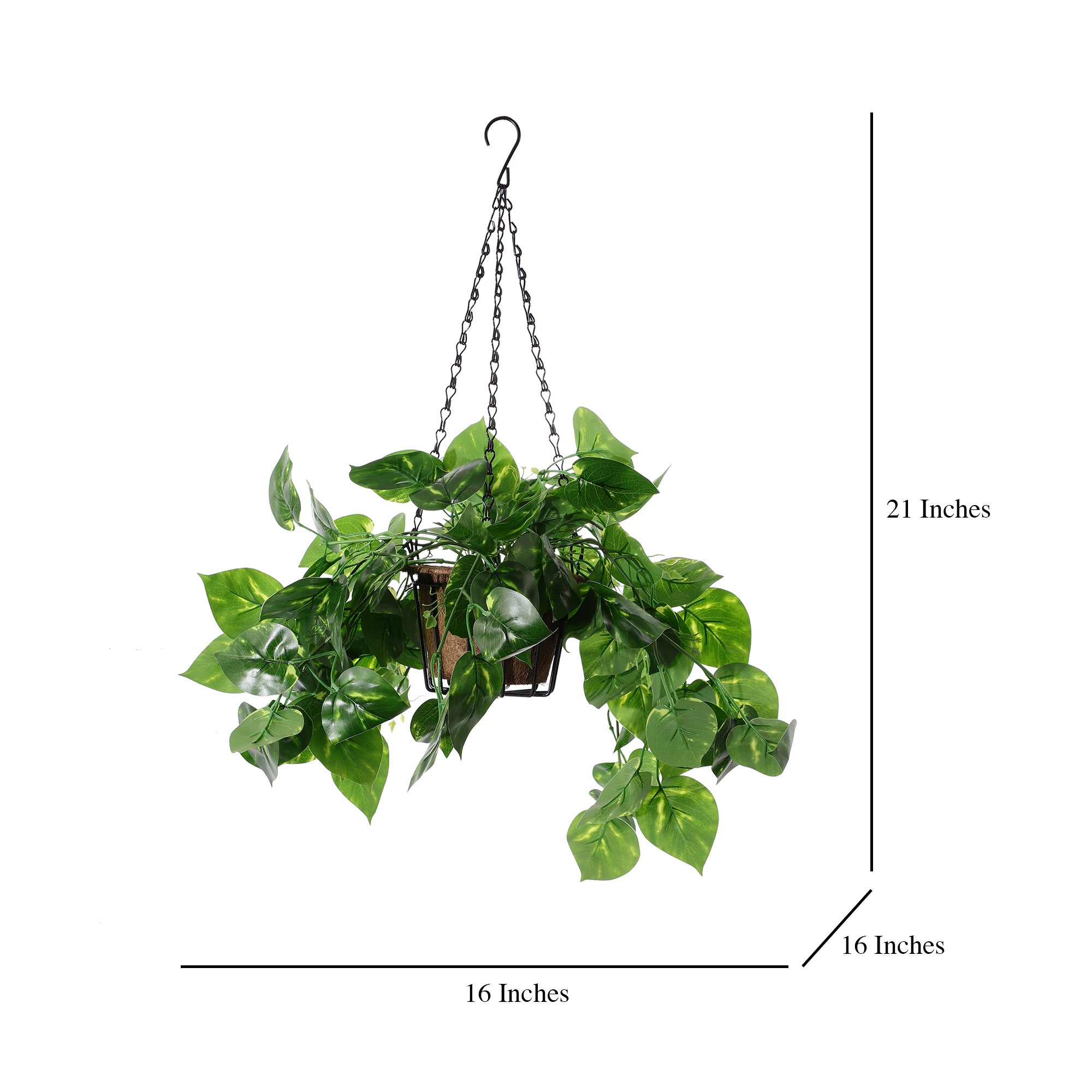 Hanging Faux Money Plant