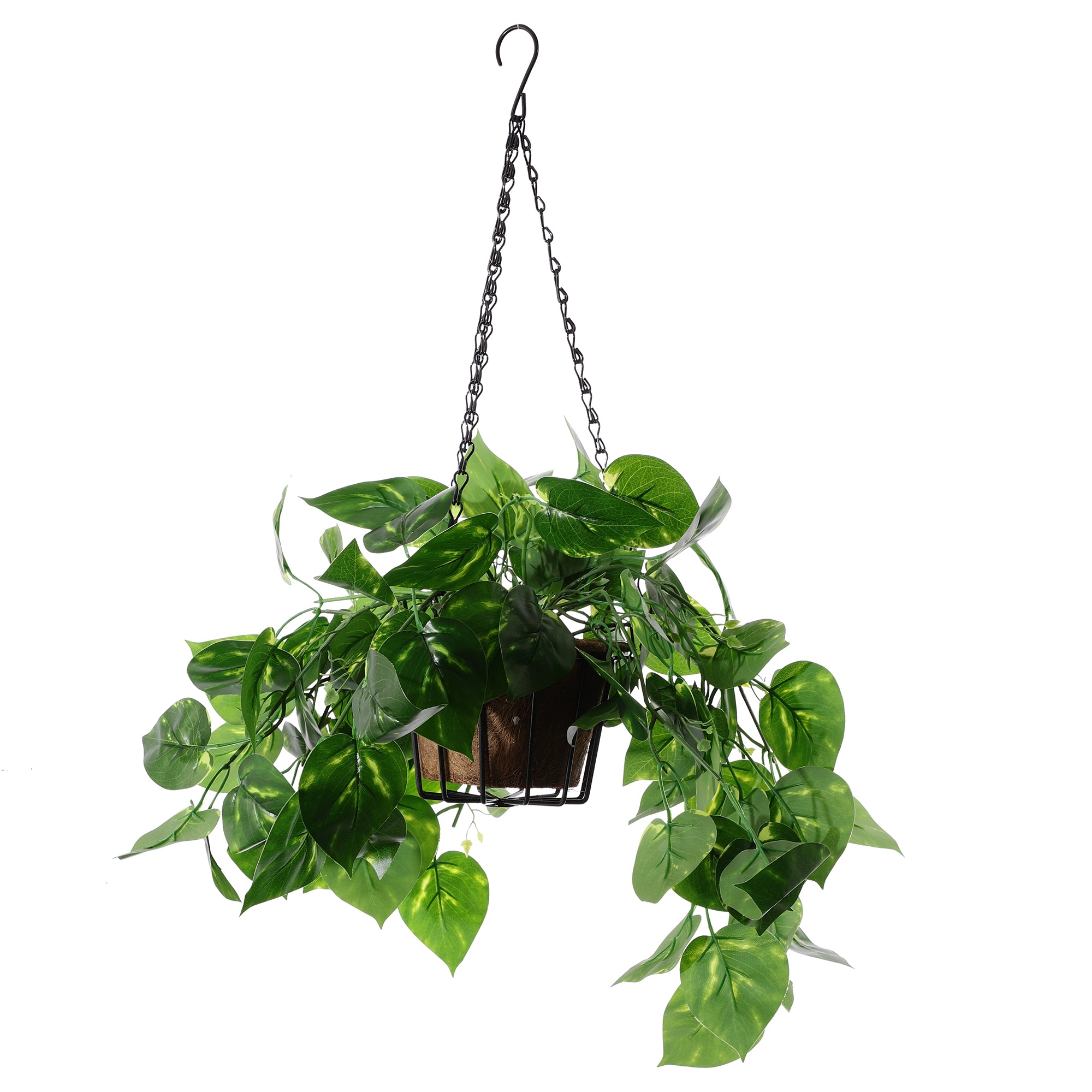 Hanging Faux Money Plant
