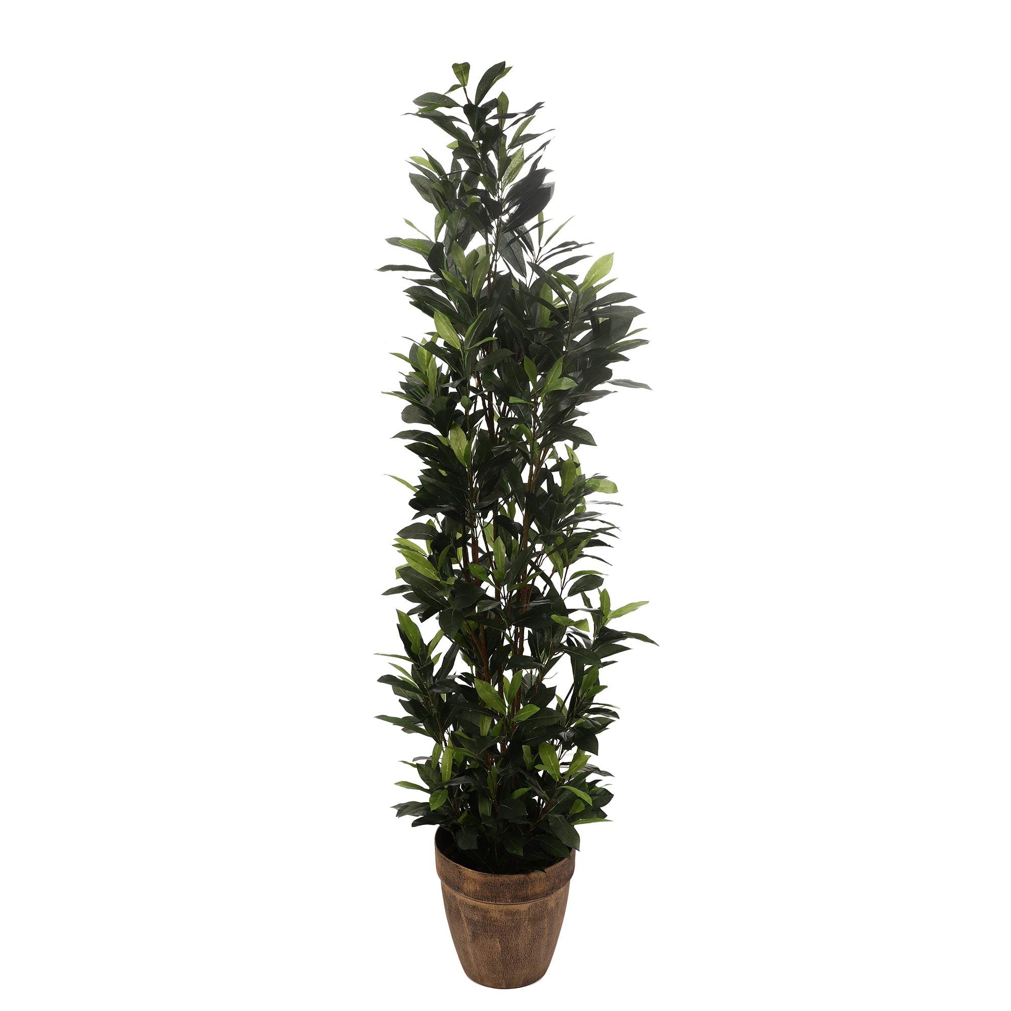 Bay Laurel Faux Plant