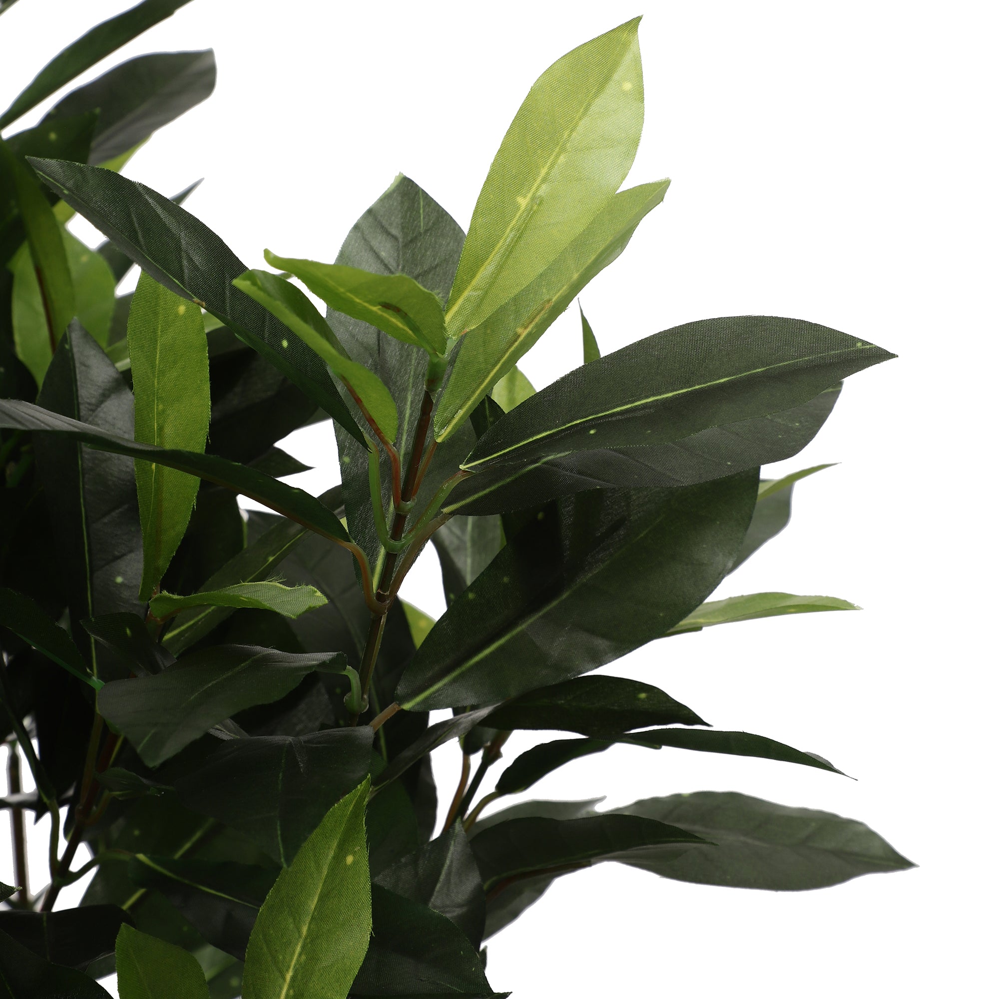 Bay Laurel Faux Plant