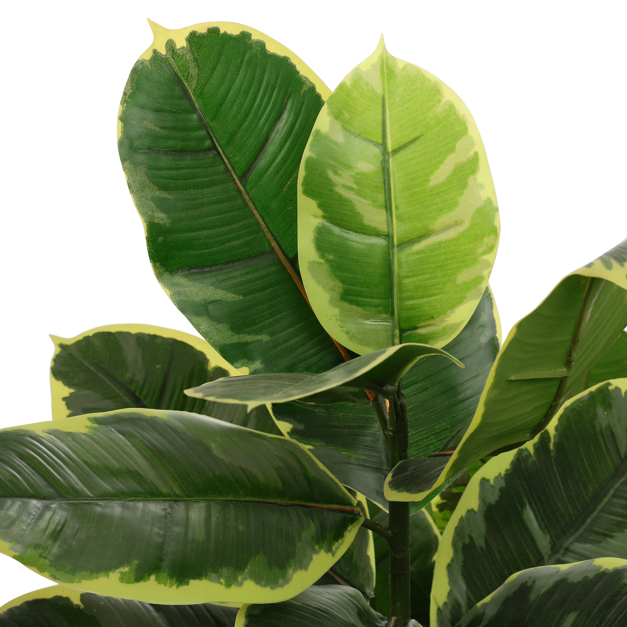 Rubber Fig Faux Plant