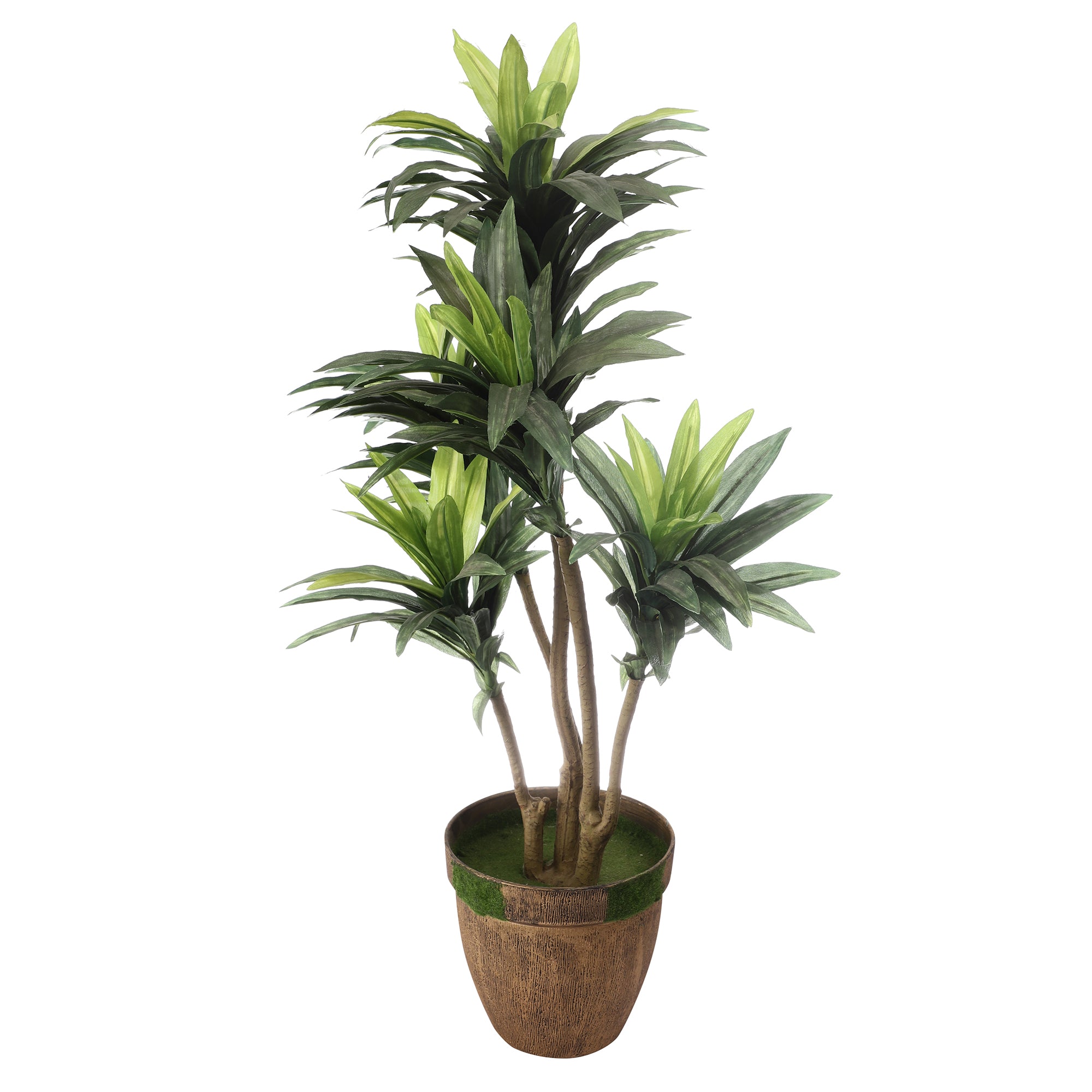 Stripes in White Dracaena Faux Plant (Medium)