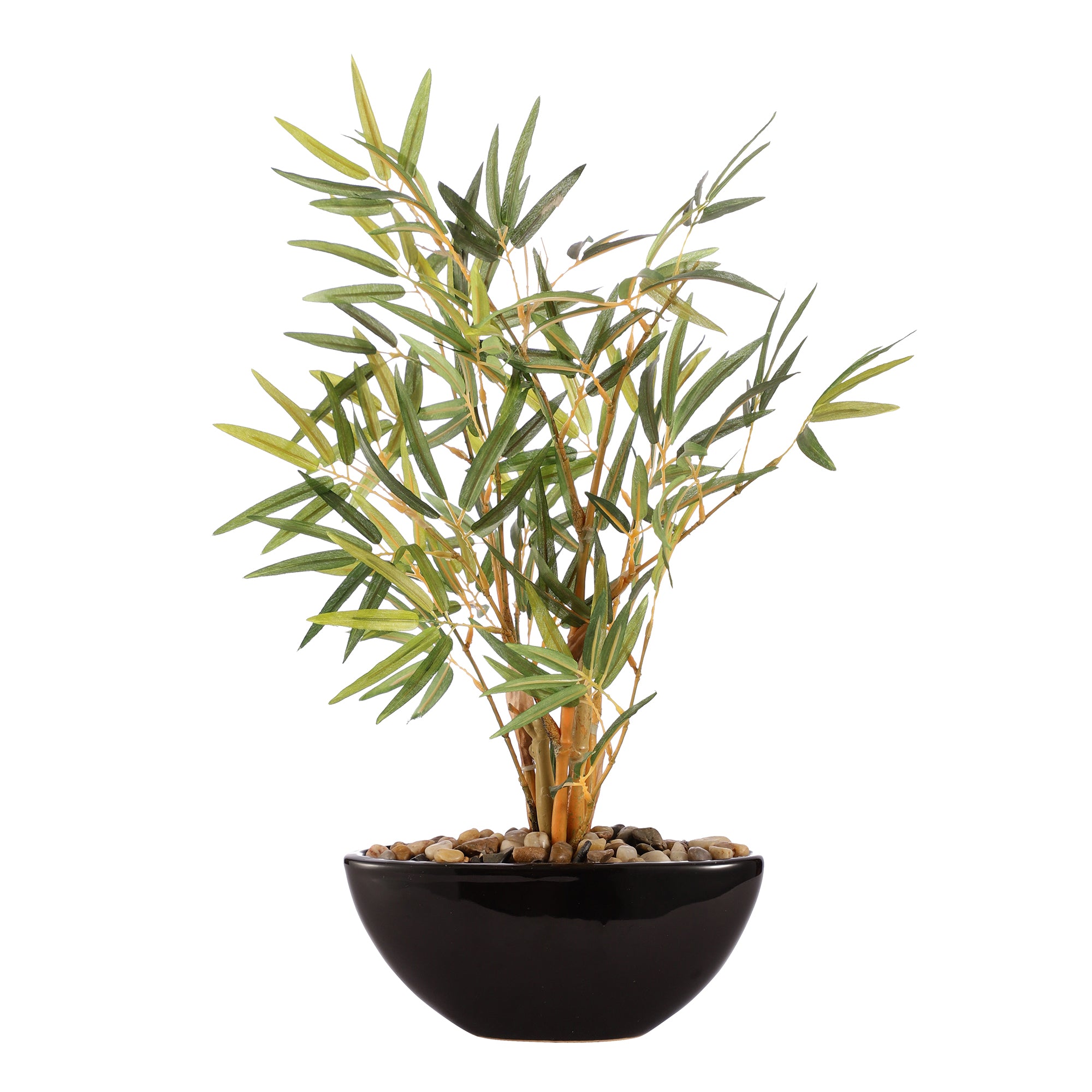 Bamboo Bonsai Ceramic Potted Plant