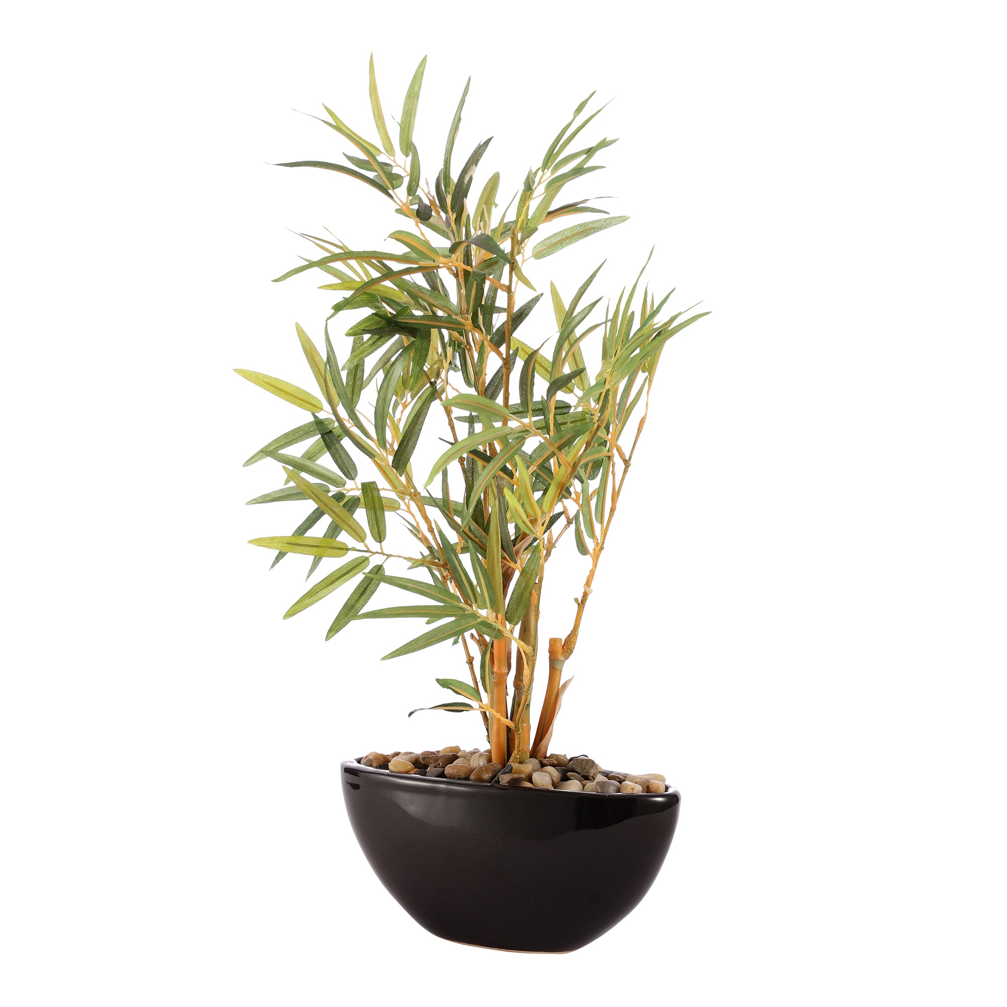 Bamboo Bonsai Ceramic Potted Plant