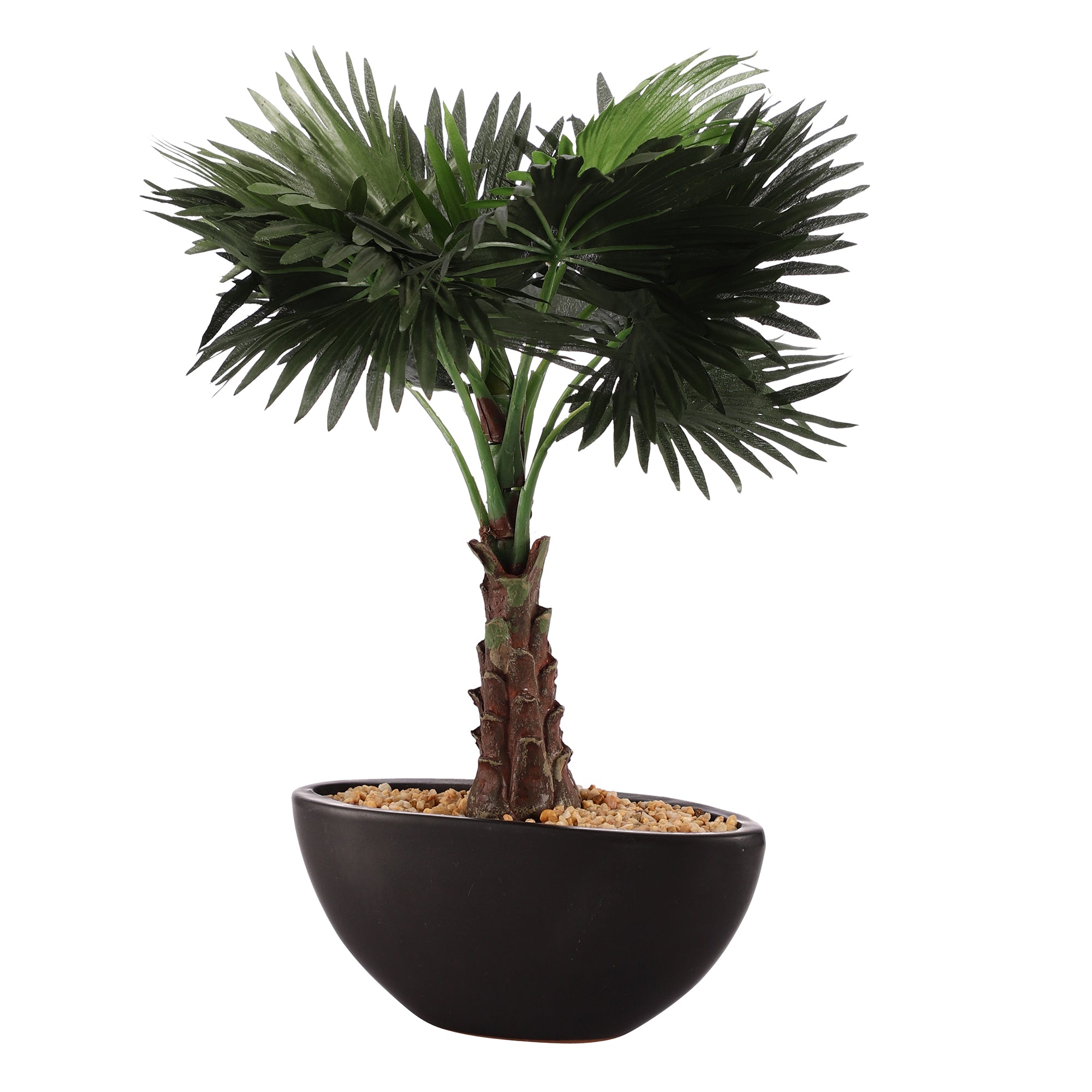 Bismarckia Faux Bonsai Ceramic Potted Plant
