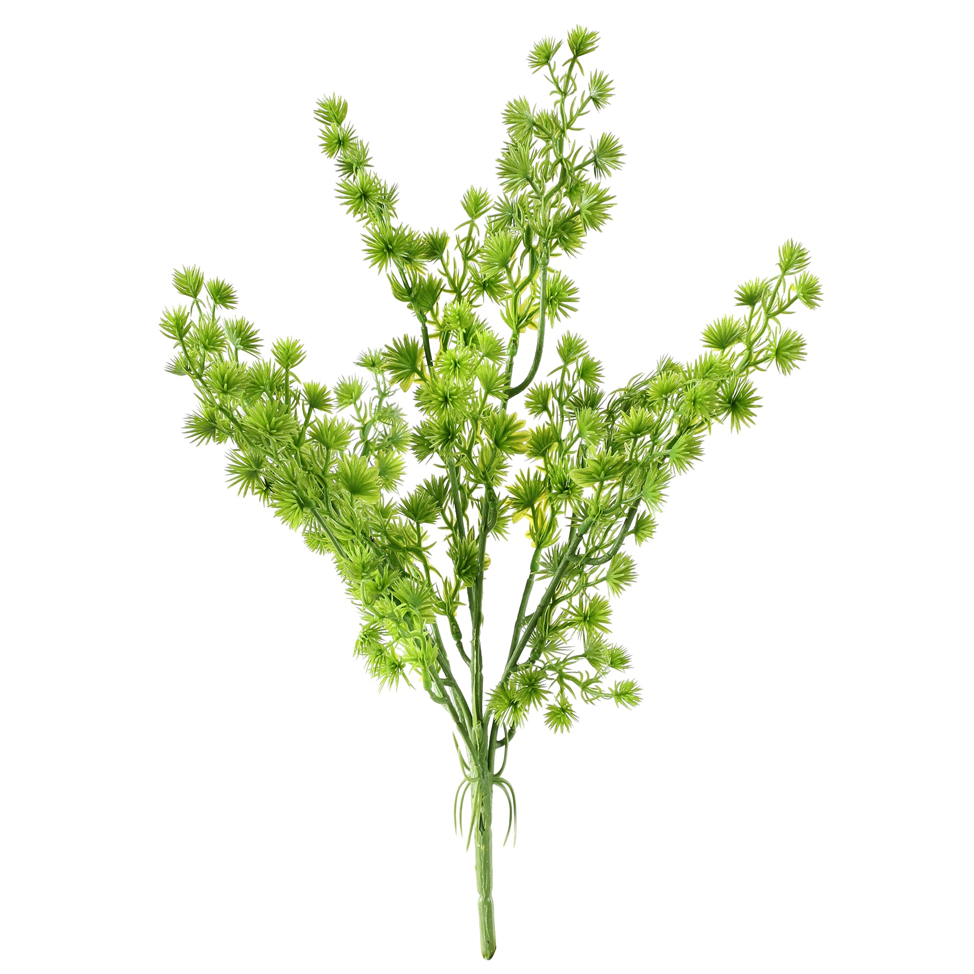 Green Fern Stem (Single)