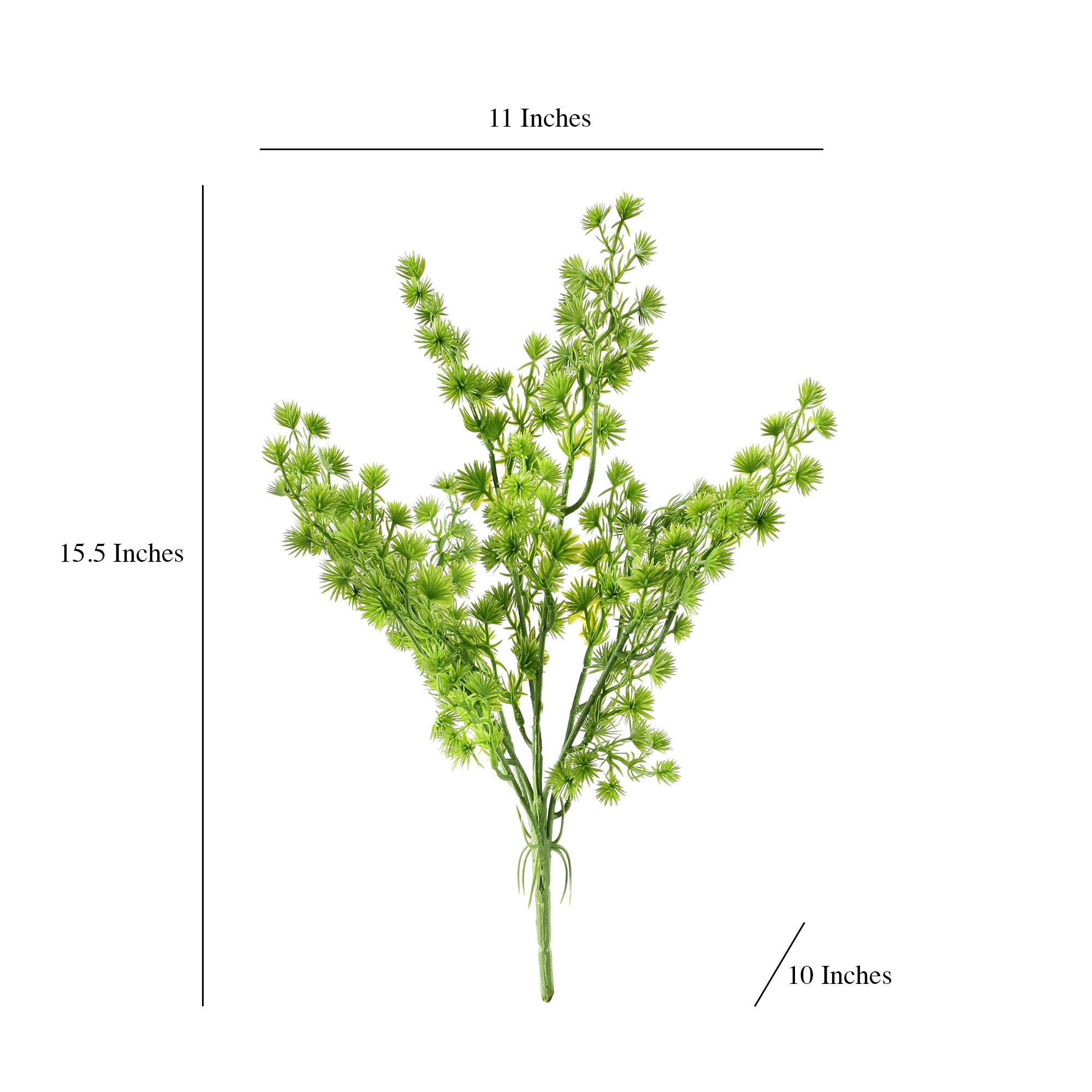 Green Fern Stem (Single)