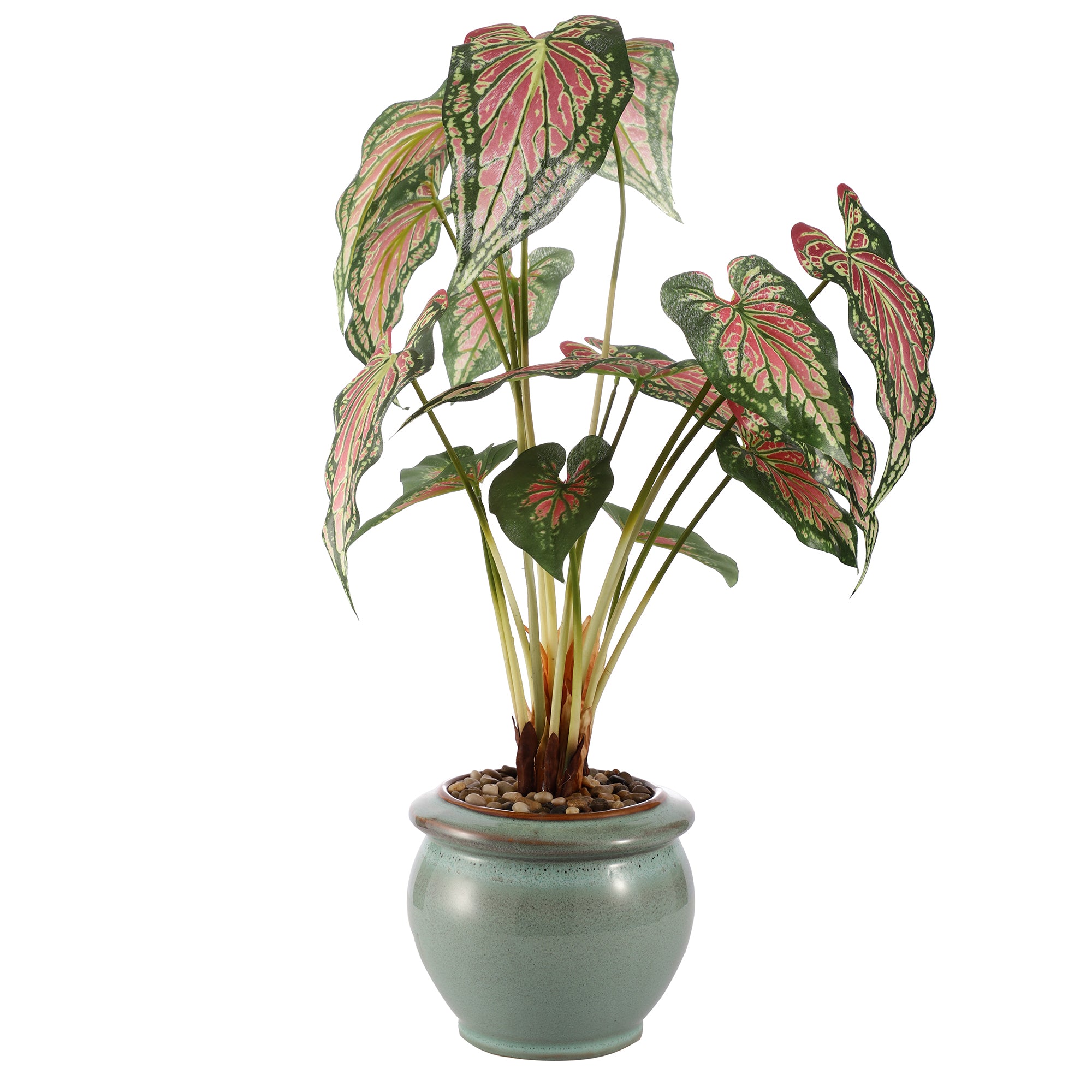 Passion Pink Caladium Faux Ceramic Potted Plant