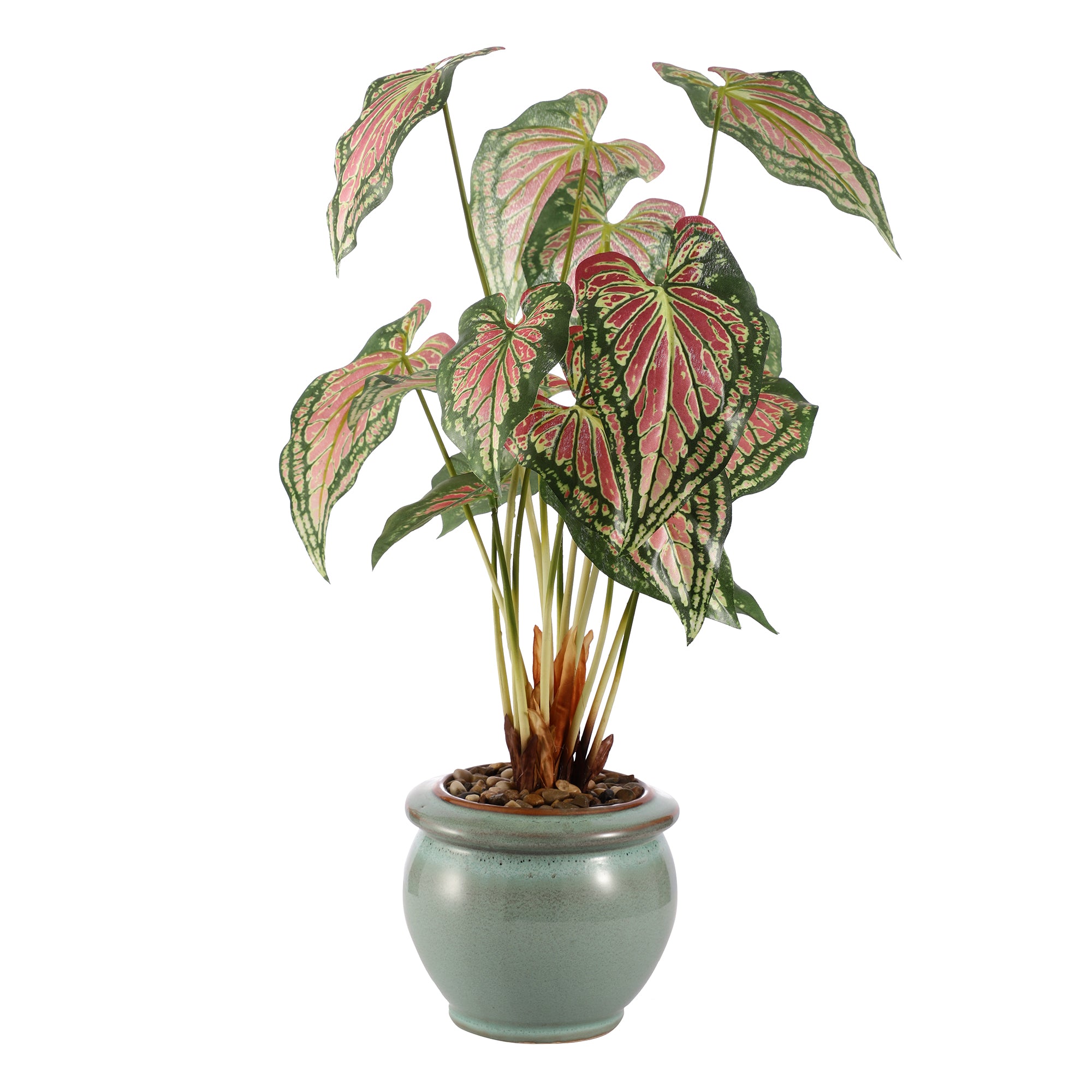Passion Pink Caladium Faux Ceramic Potted Plant