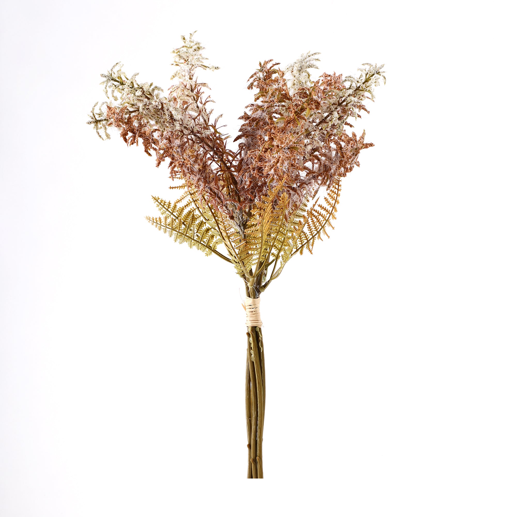 Brown Feather Fern Bunch (Single)