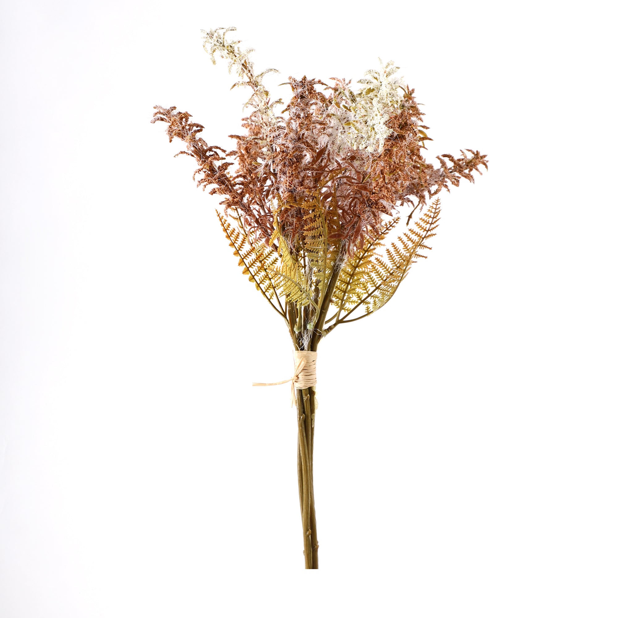 Brown Feather Fern Bunch (Single)
