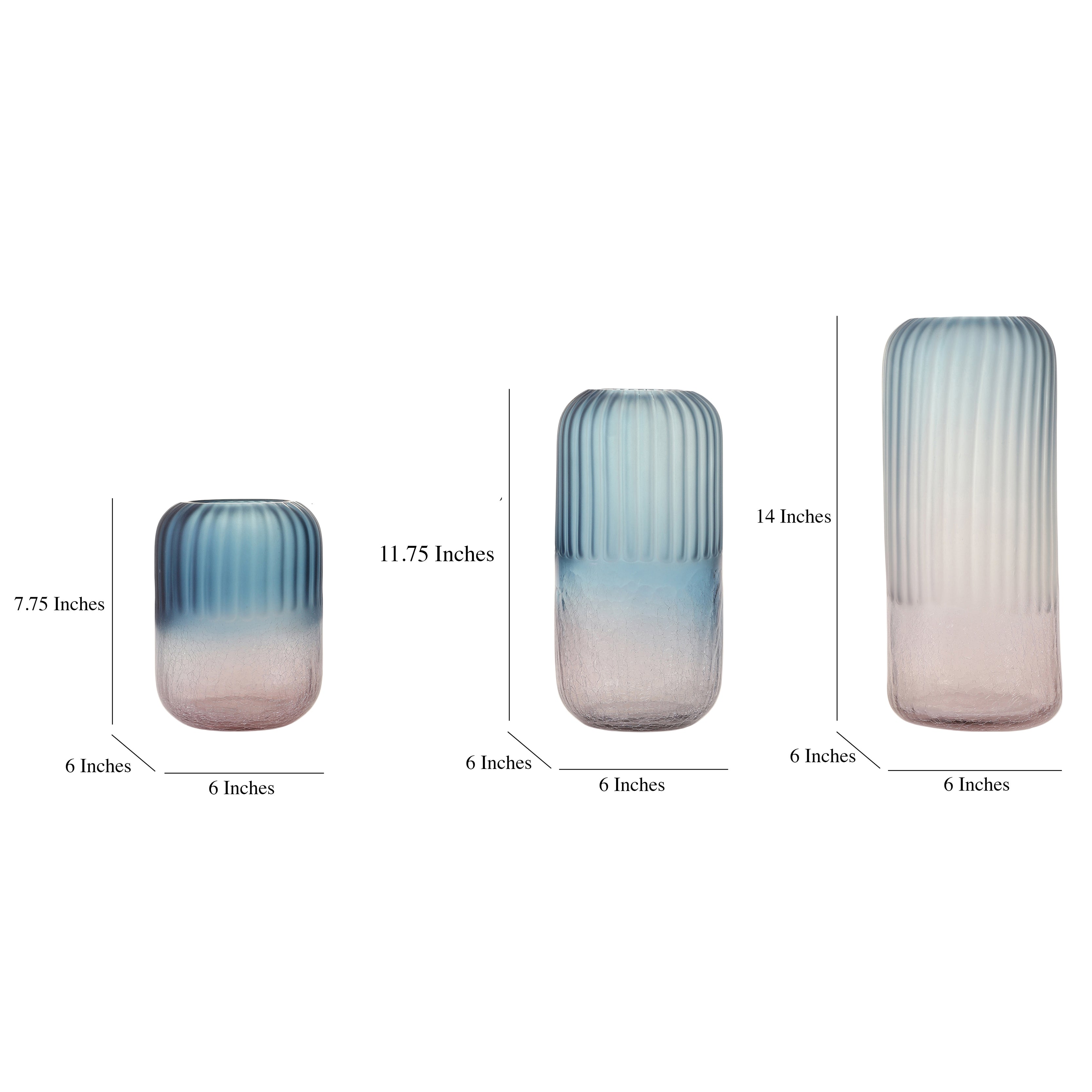 Ribbed Ombre Glass Vase (Single)