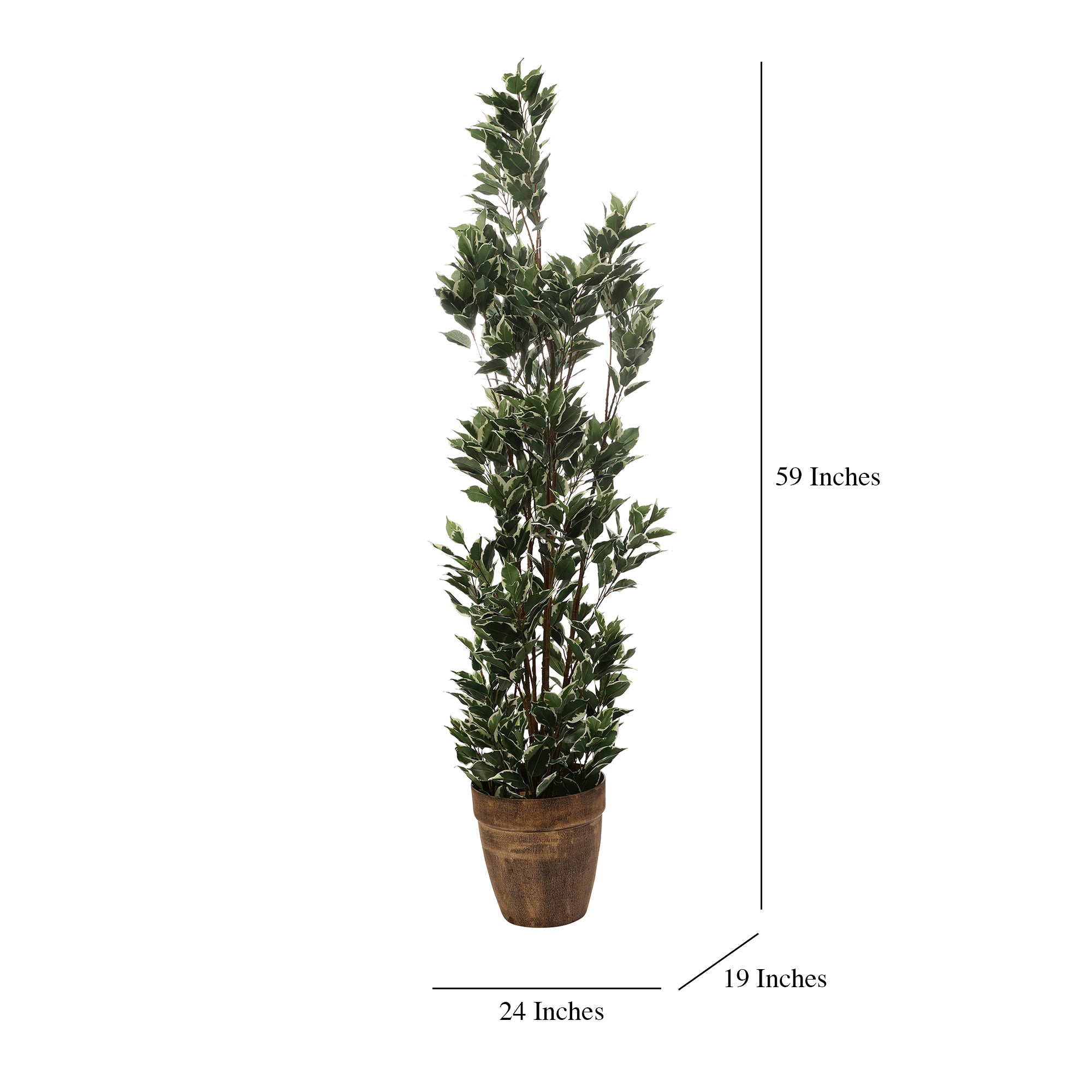 Schefflera Faux Plant (Dark Green/White)