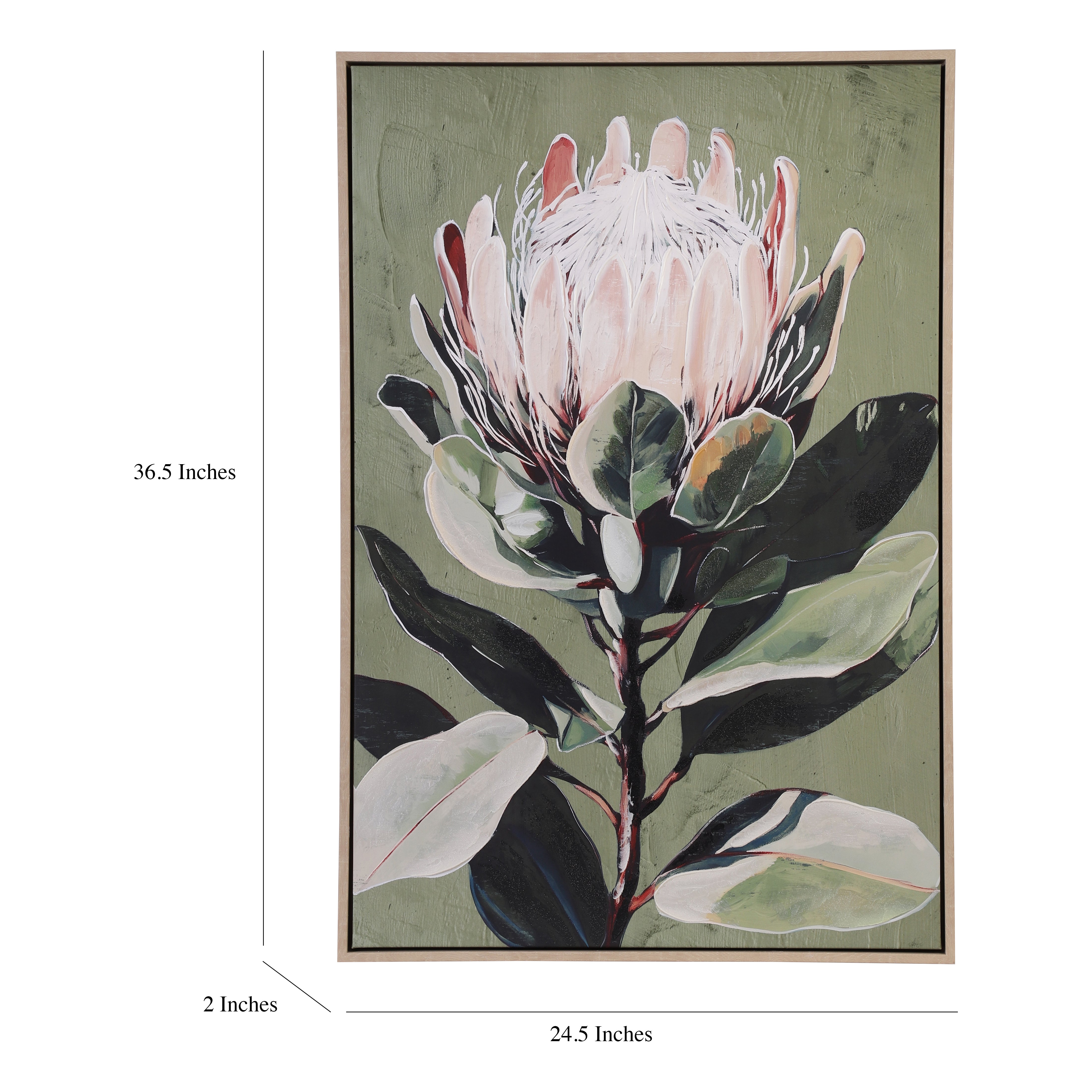 Protea Bloom Oil Hand-Painted Canvas Art