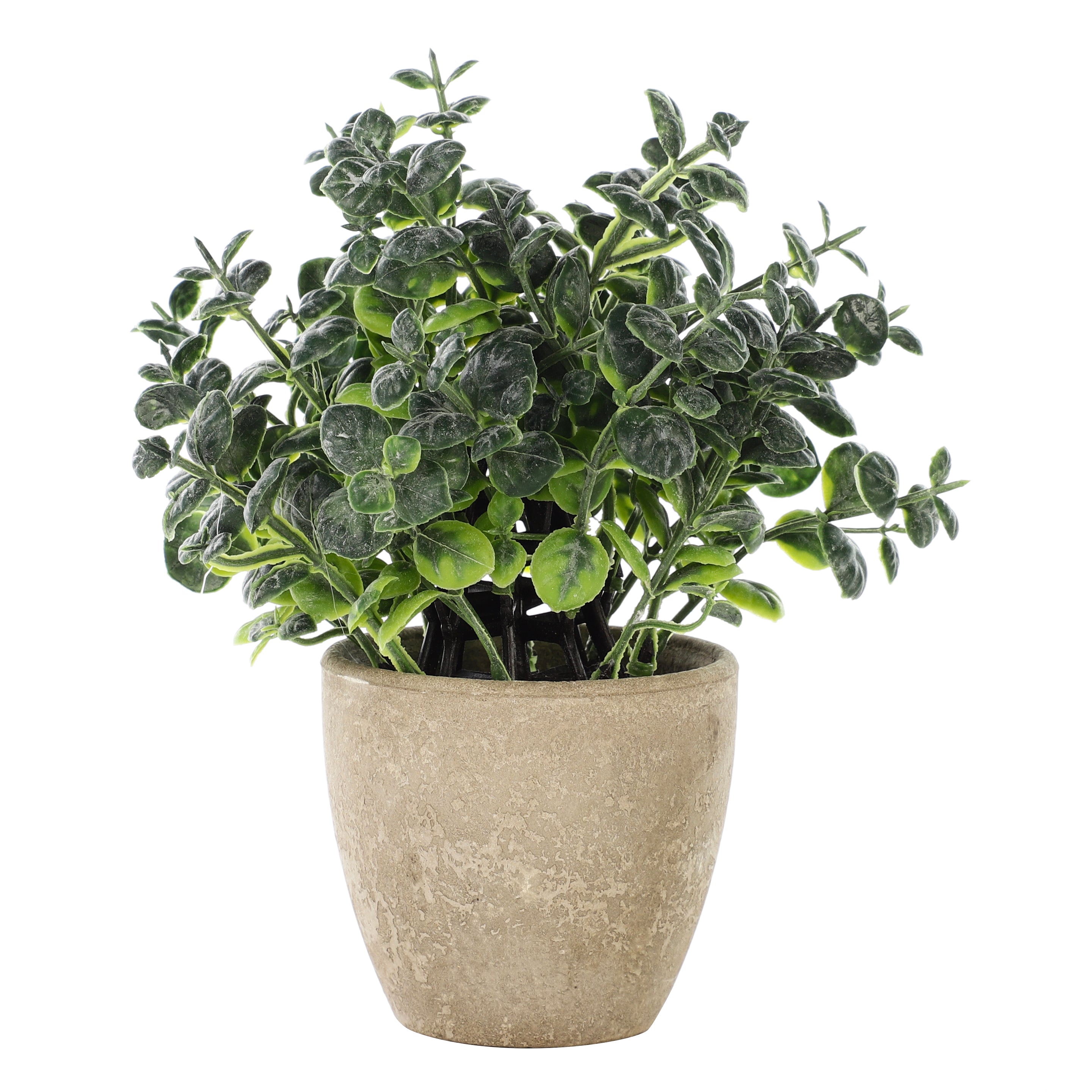 Faux Eucalyptus Bonsai Plant