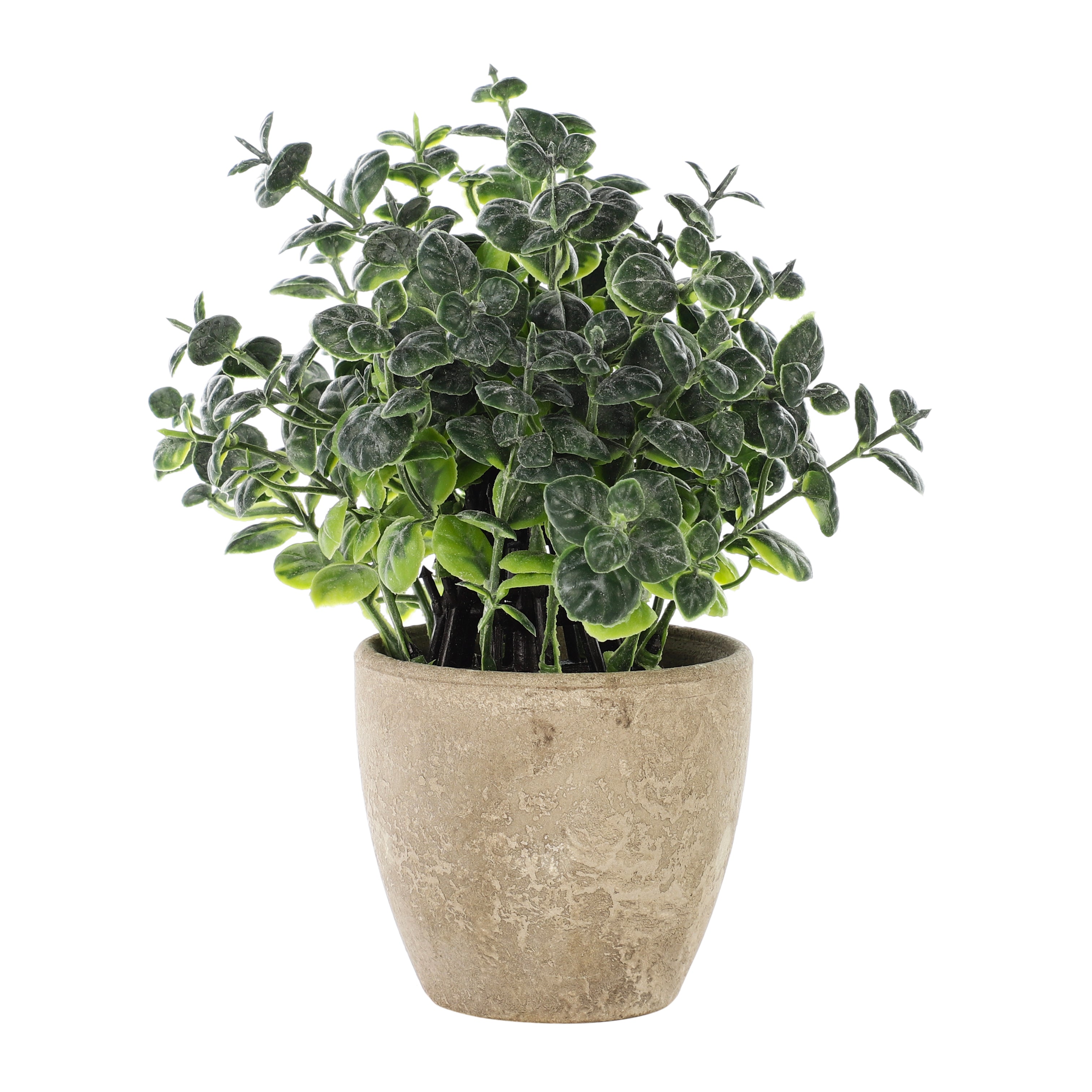 Faux Eucalyptus Bonsai Plant