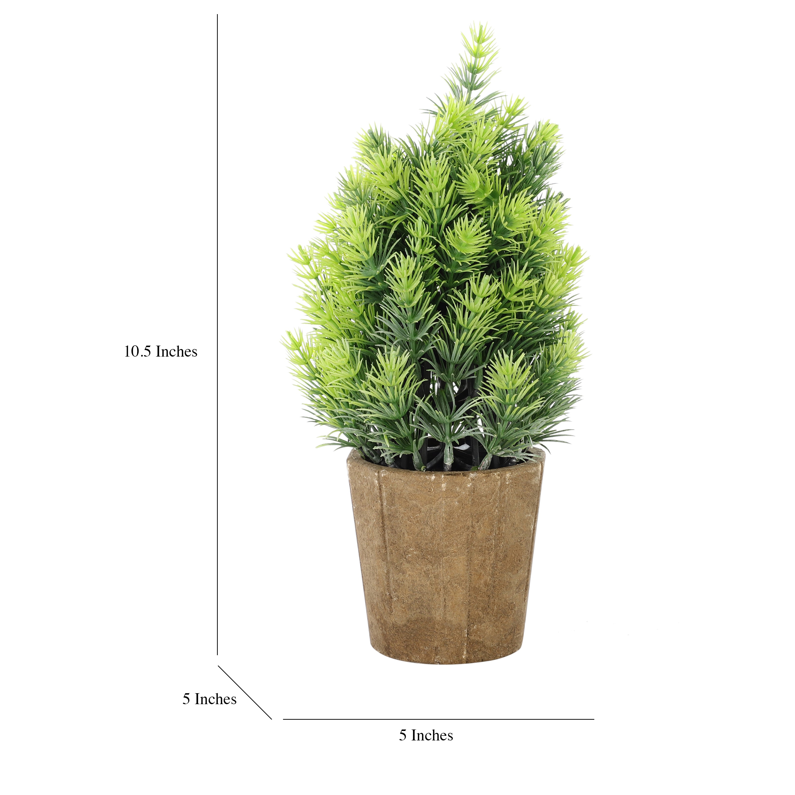 Faux Mountain Pine Bonsai Plant