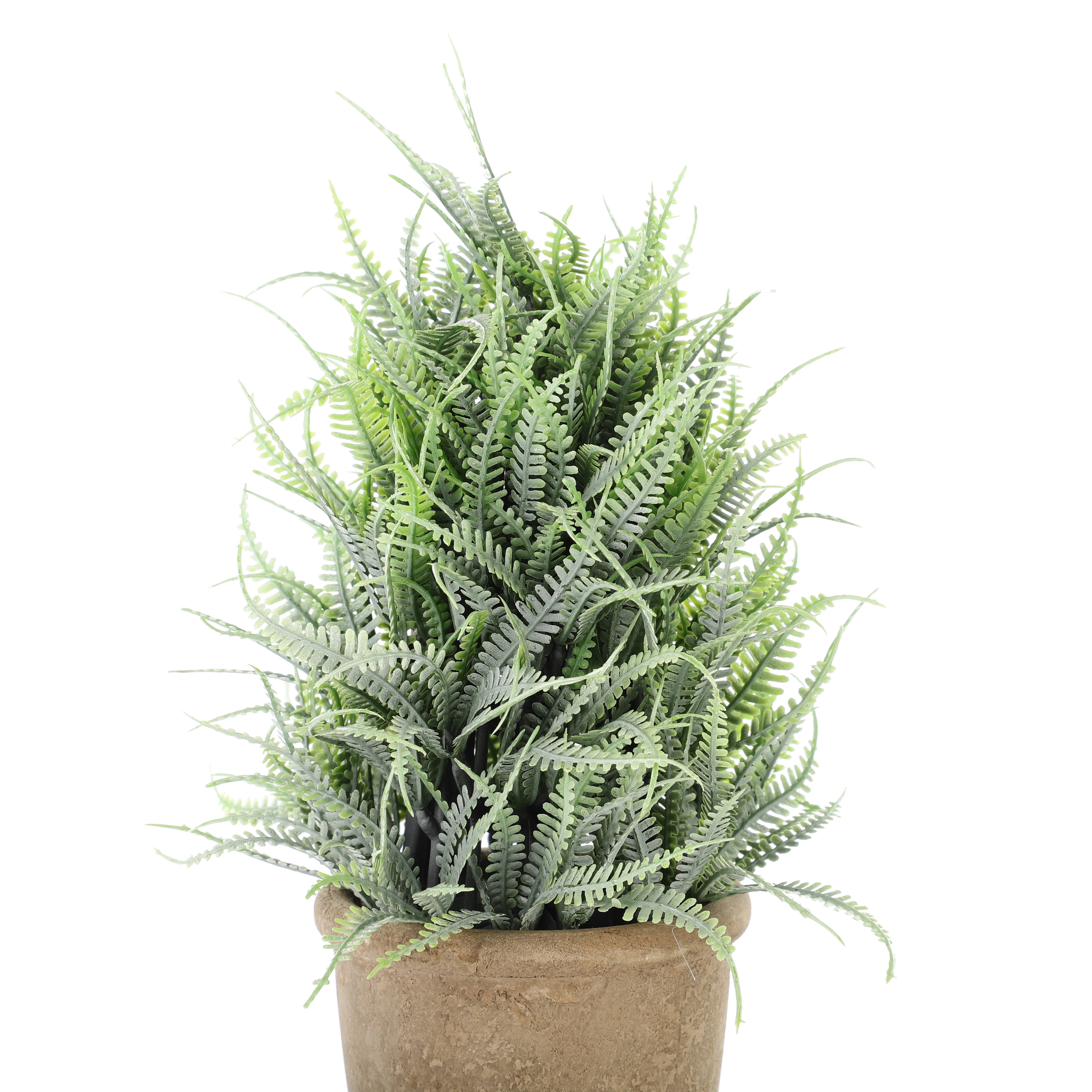 Faux Mountain Fern Bonsai Plant