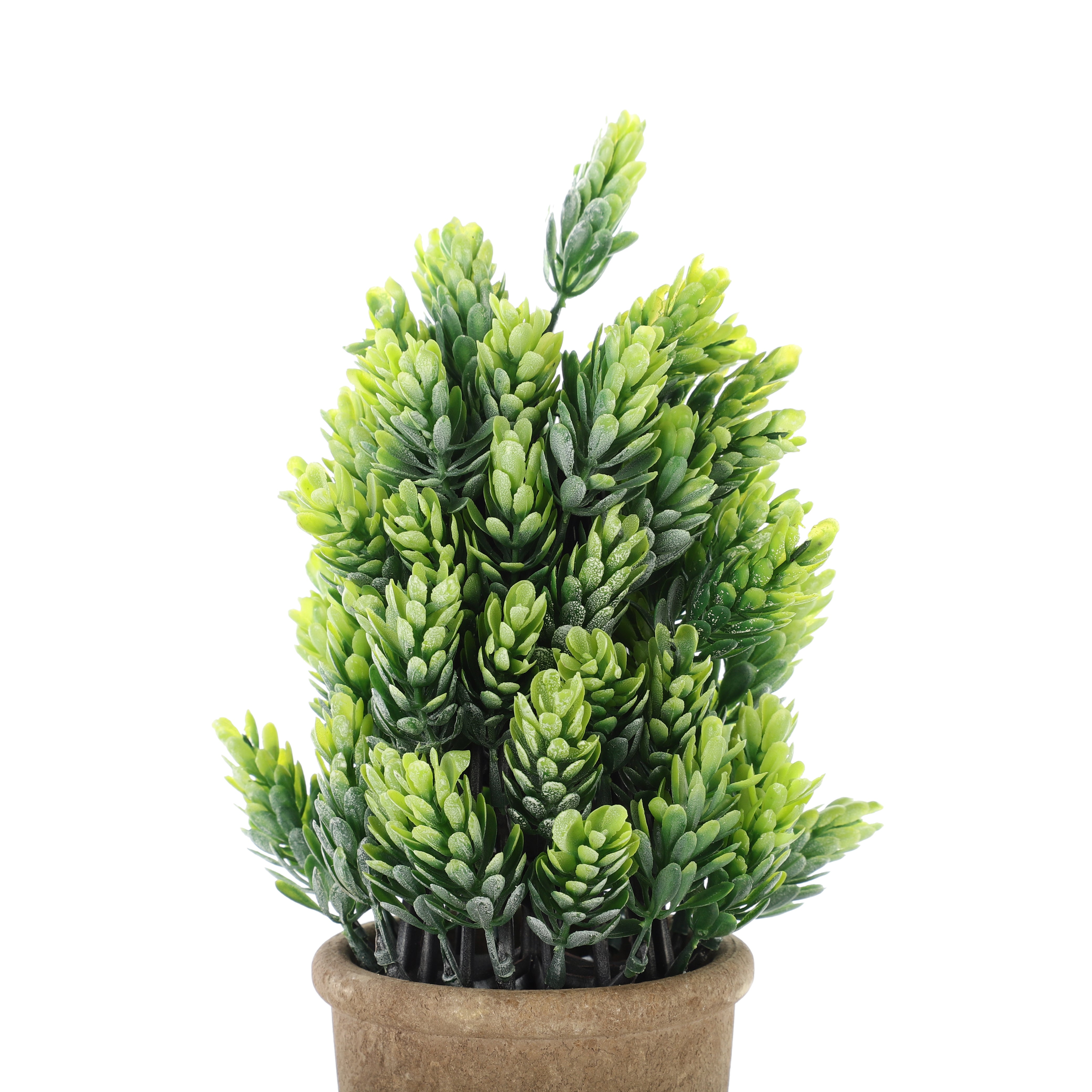 Faux Burro's Tail Succulent Bonsai Plant