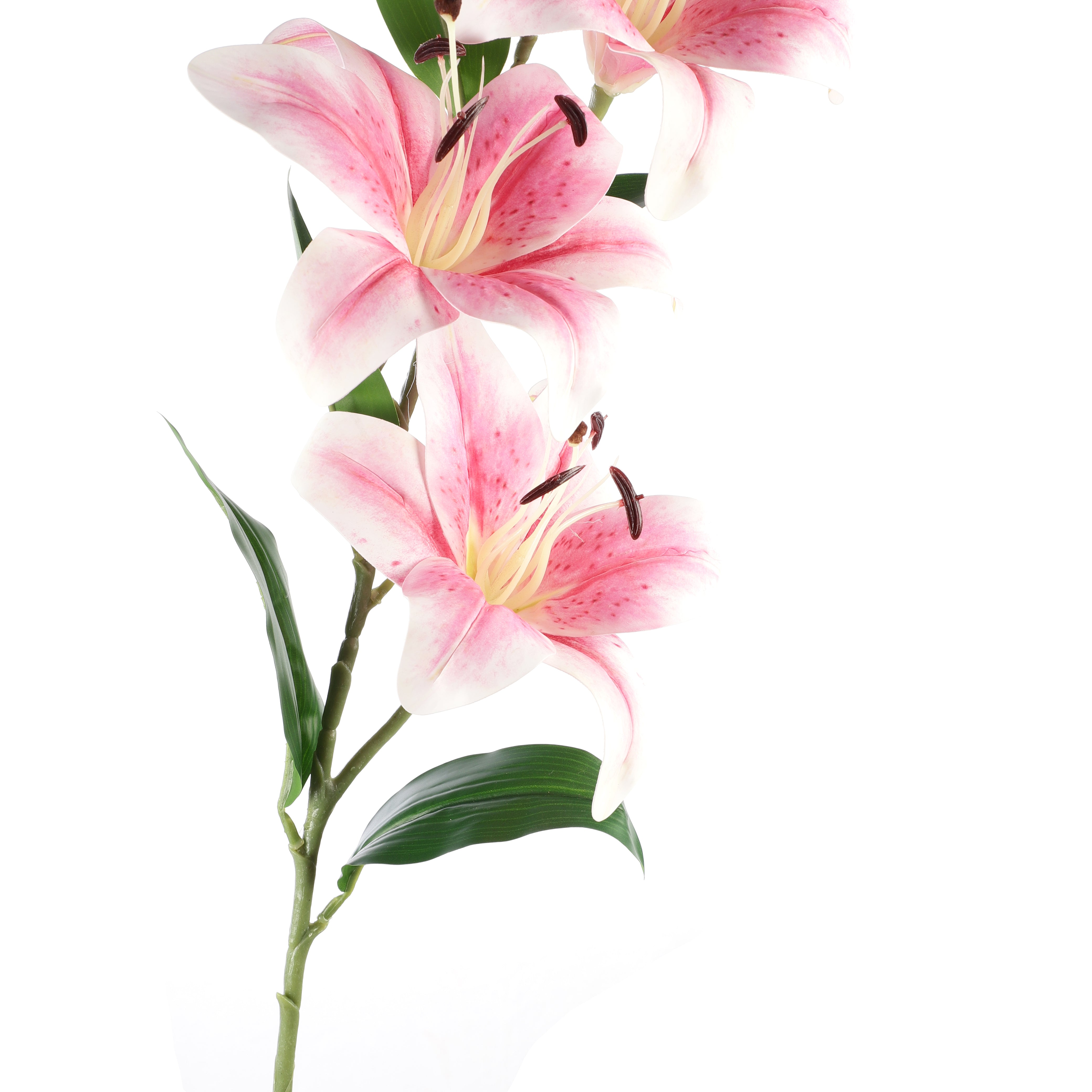 Faux Pink Lilly (Single)