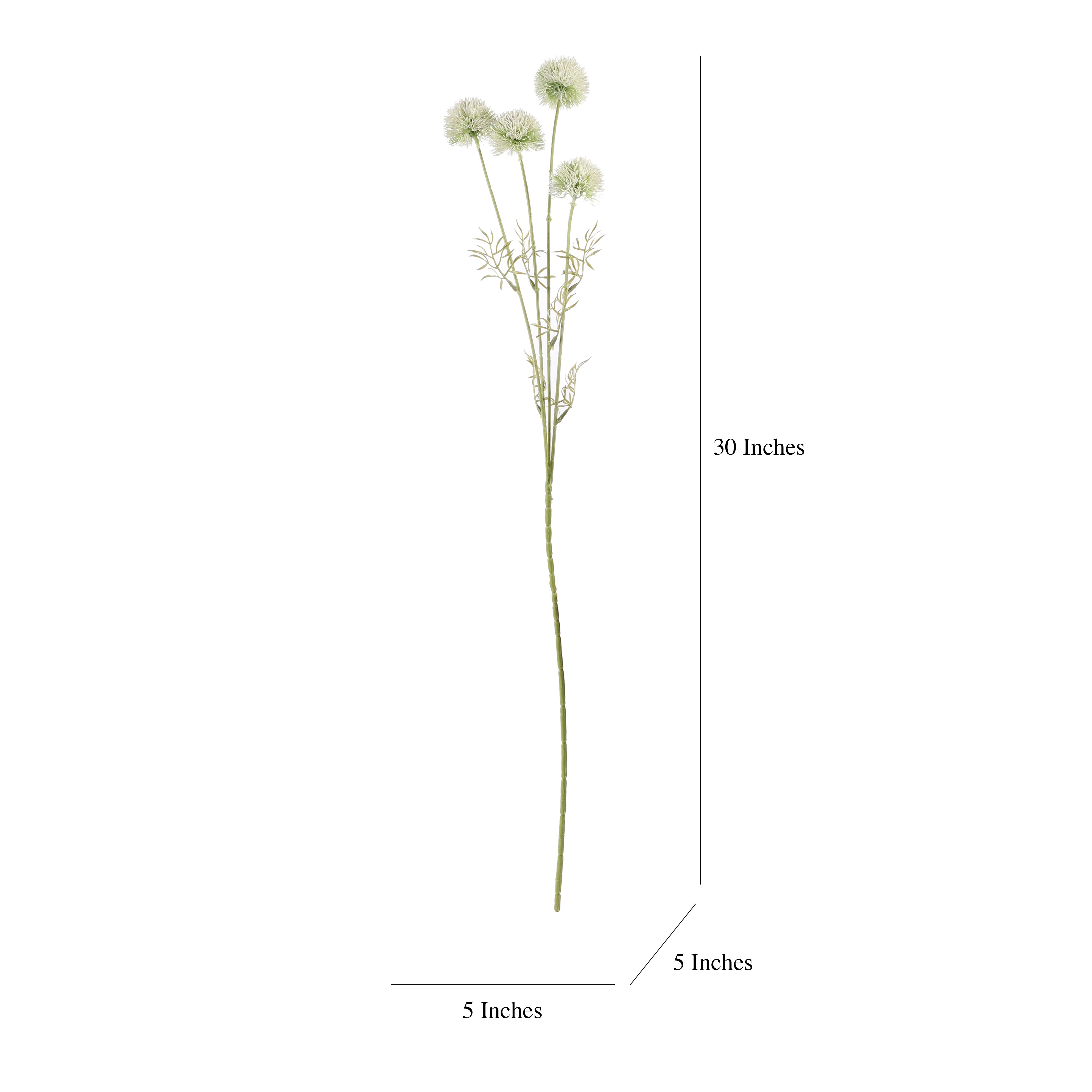 Faux Eucalyptus Gunnii Stem (Single)