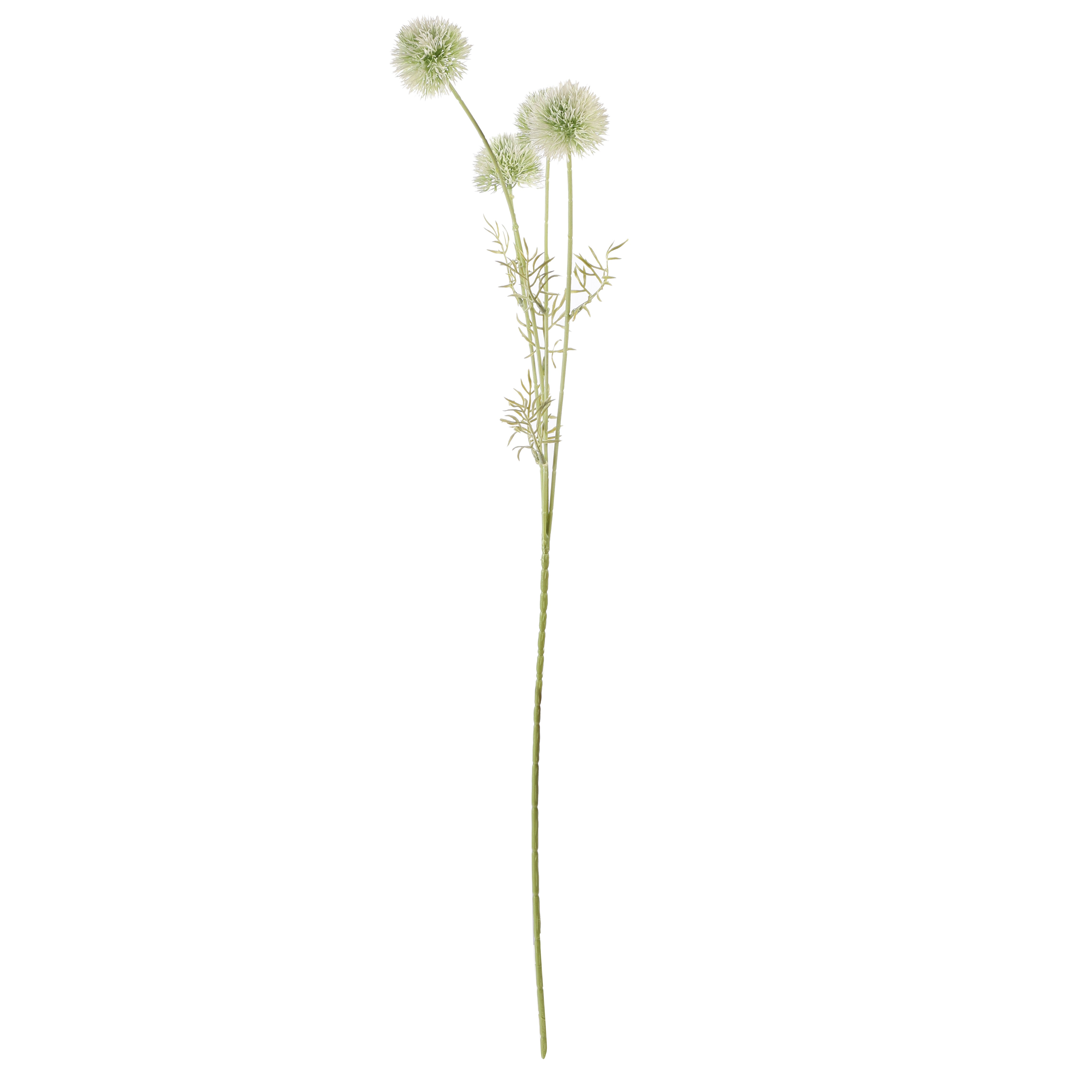 Faux Eucalyptus Gunnii Stem (Single)