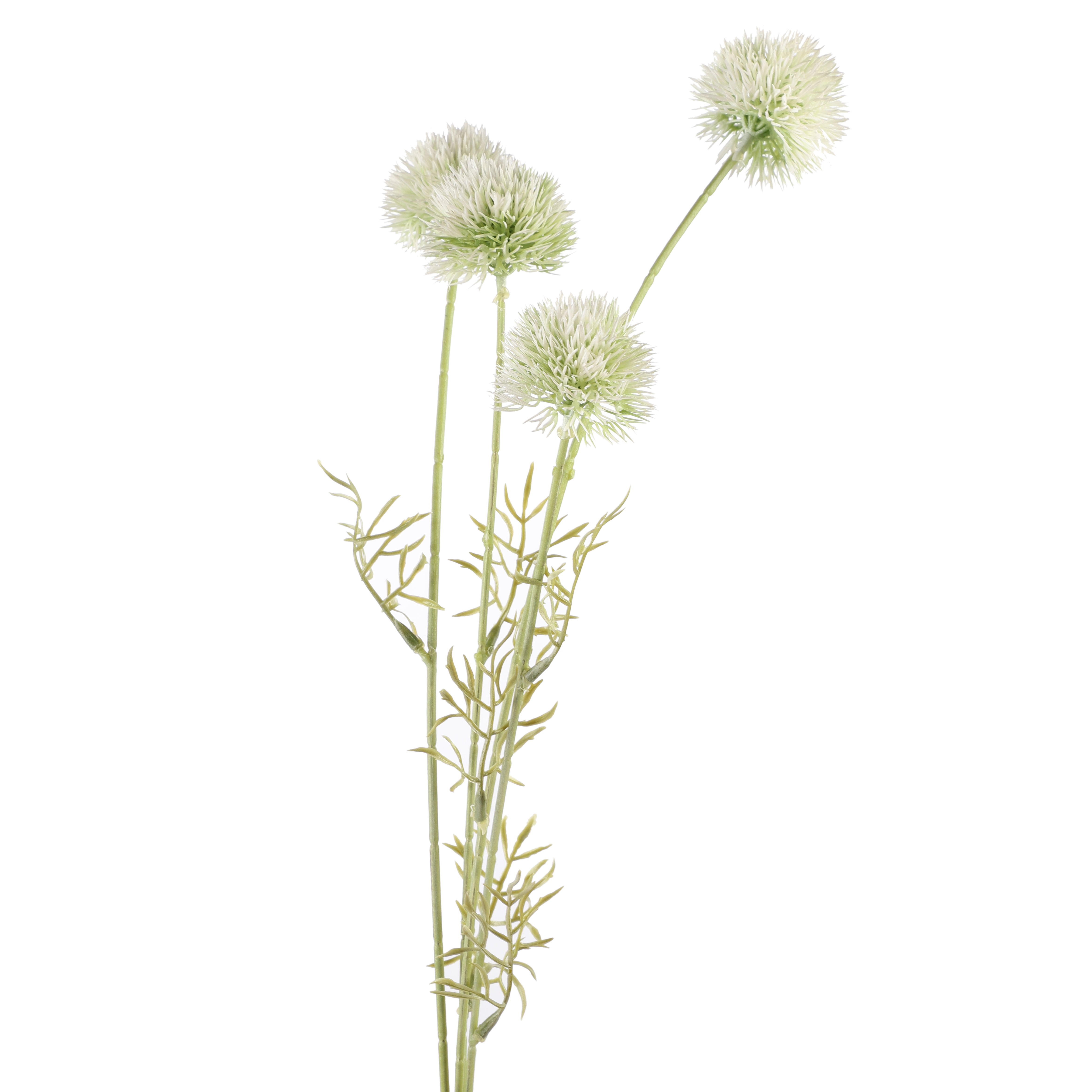 Faux Eucalyptus Gunnii Stem (Single)