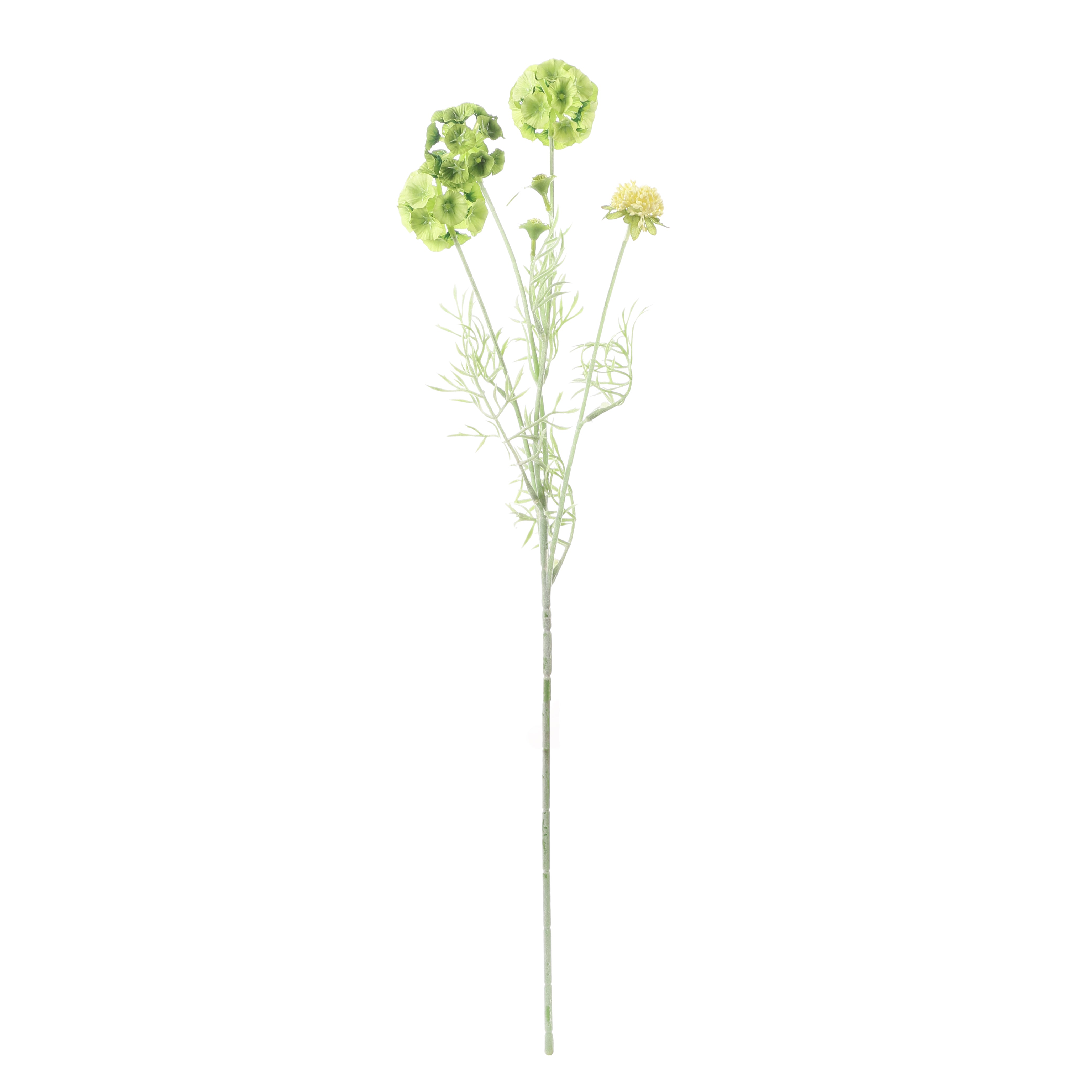 Faux Green Scabiosa Stellata Stem (Single)