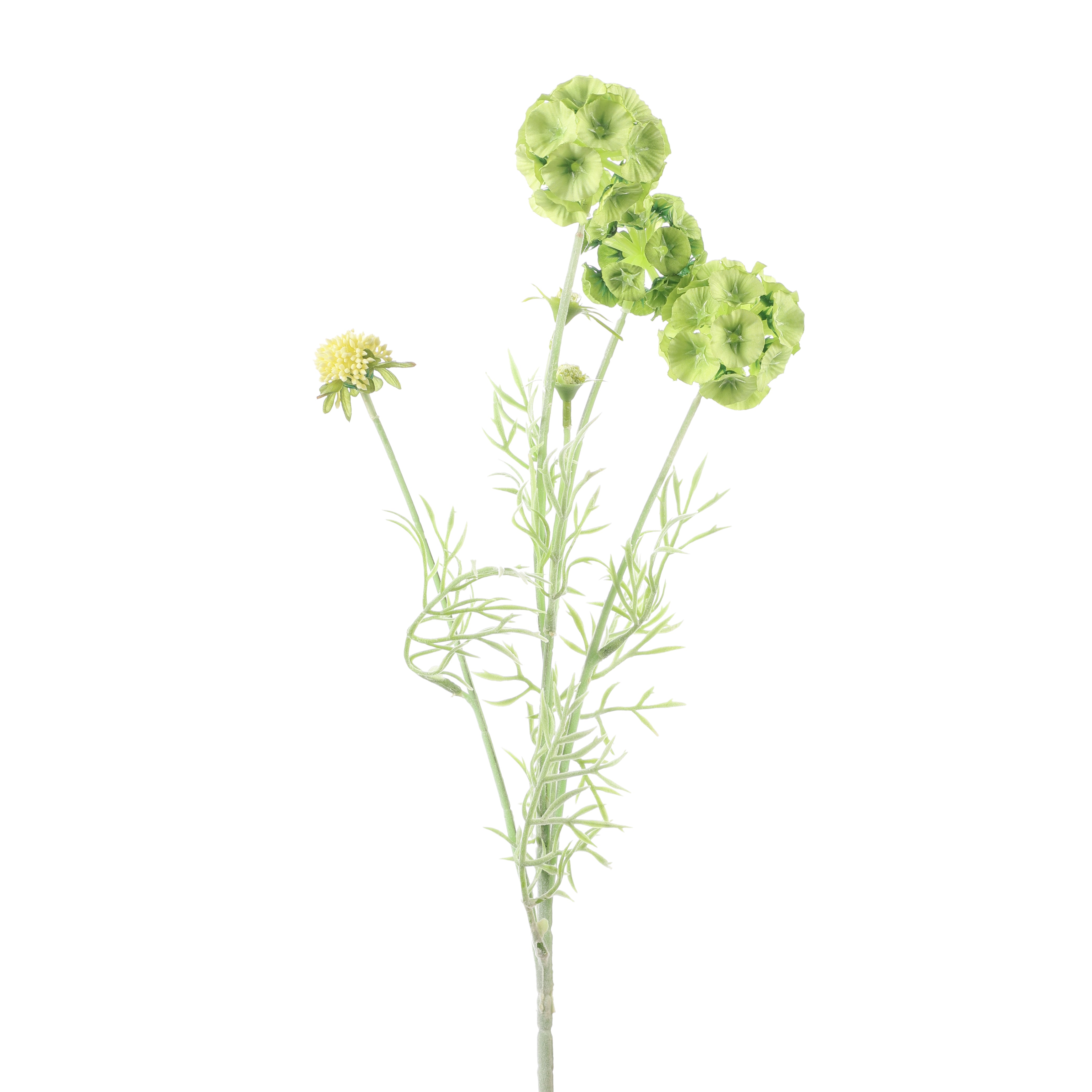 Faux Green Scabiosa Stellata Stem (Single)