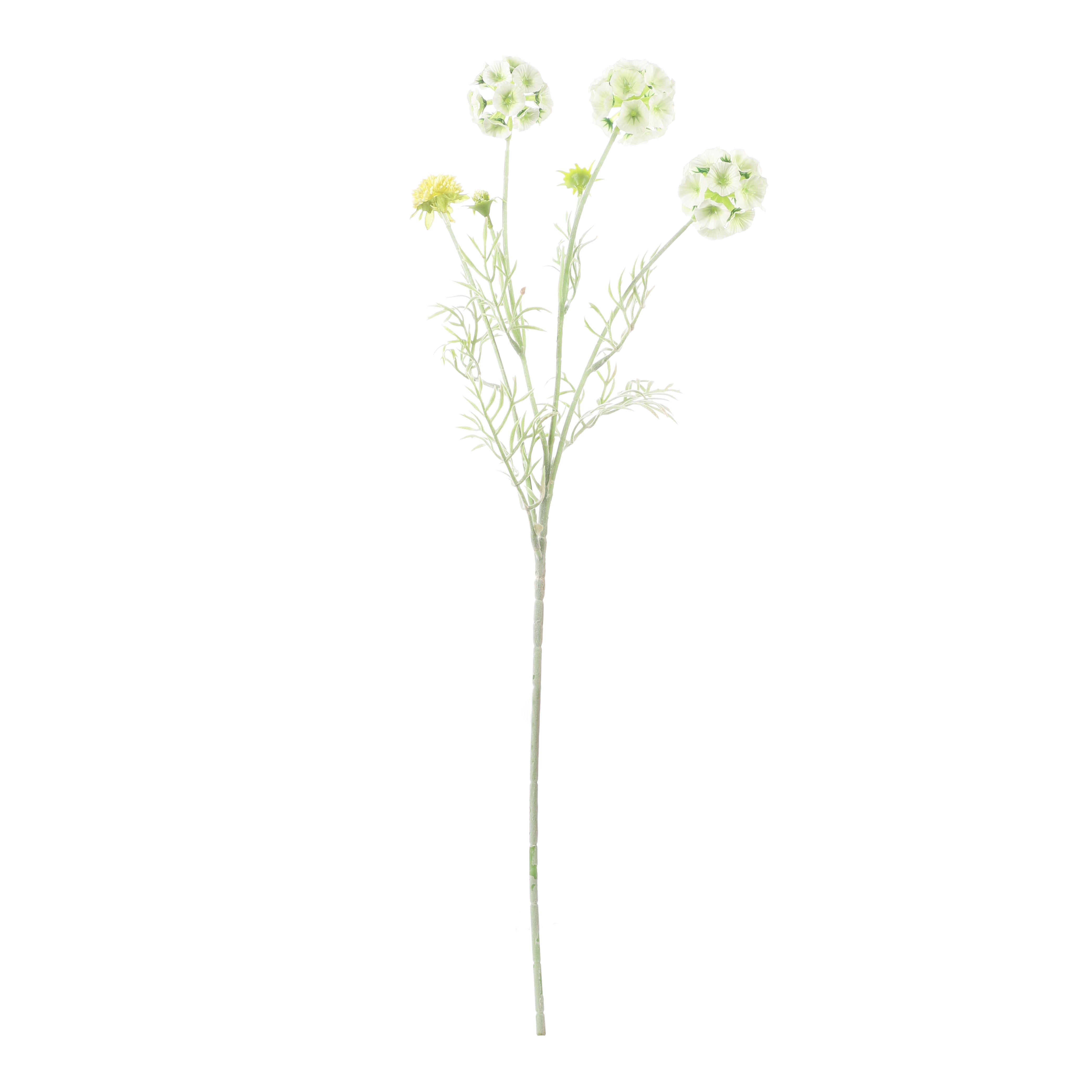 Faux Pale Green Scabiosa Stellata Stem (Single)