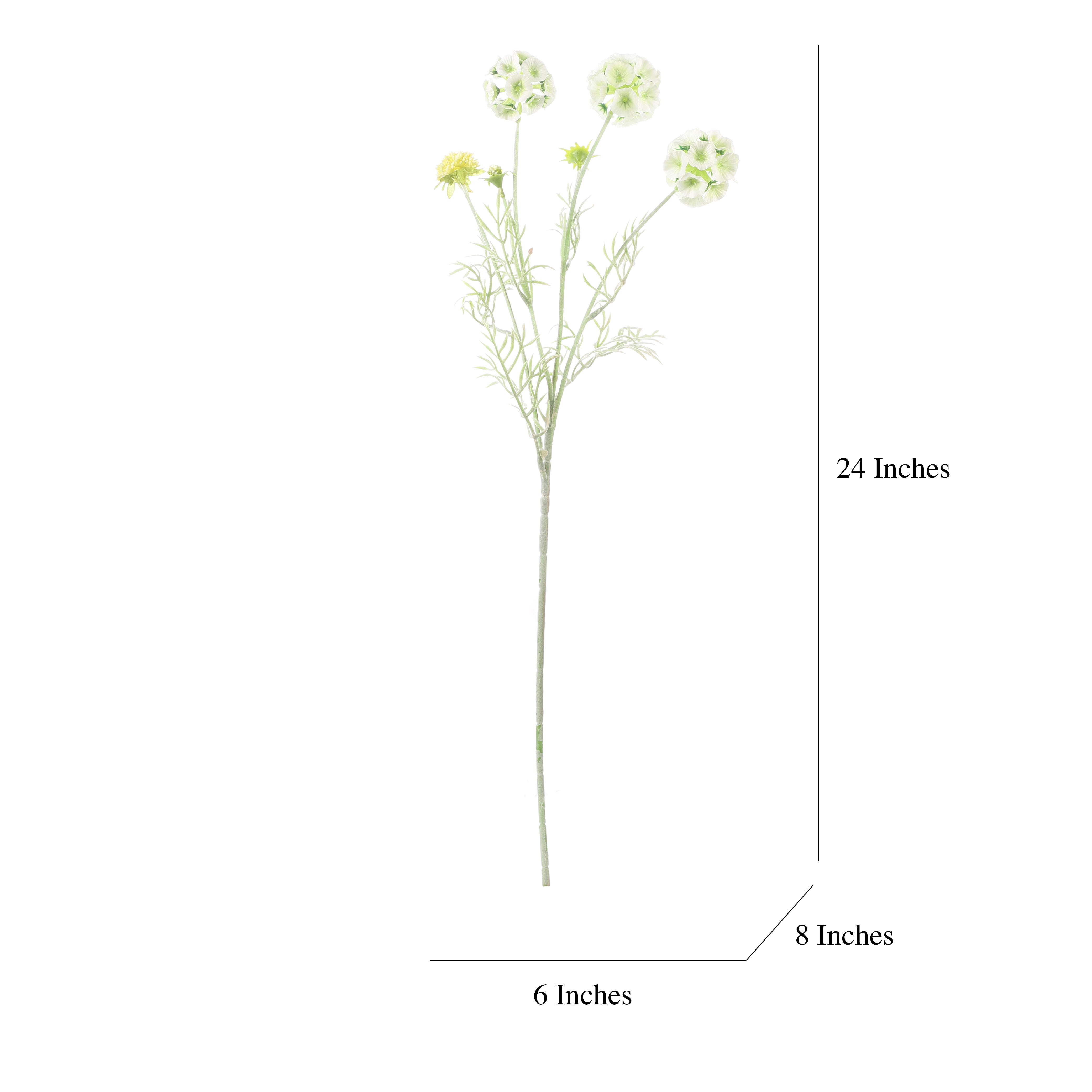 Faux Pale Green Scabiosa Stellata Stem (Single)