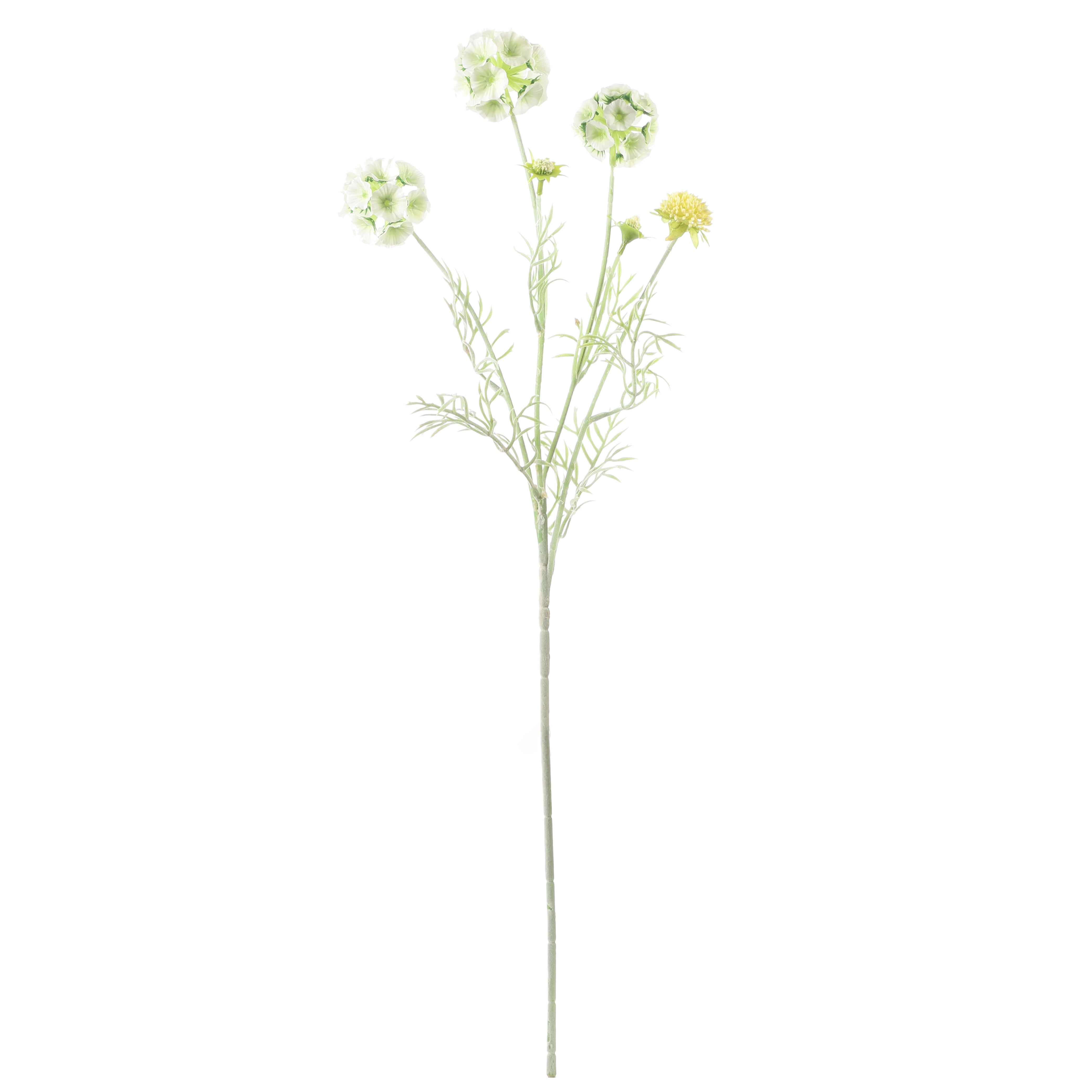 Faux Pale Green Scabiosa Stellata Stem (Single)