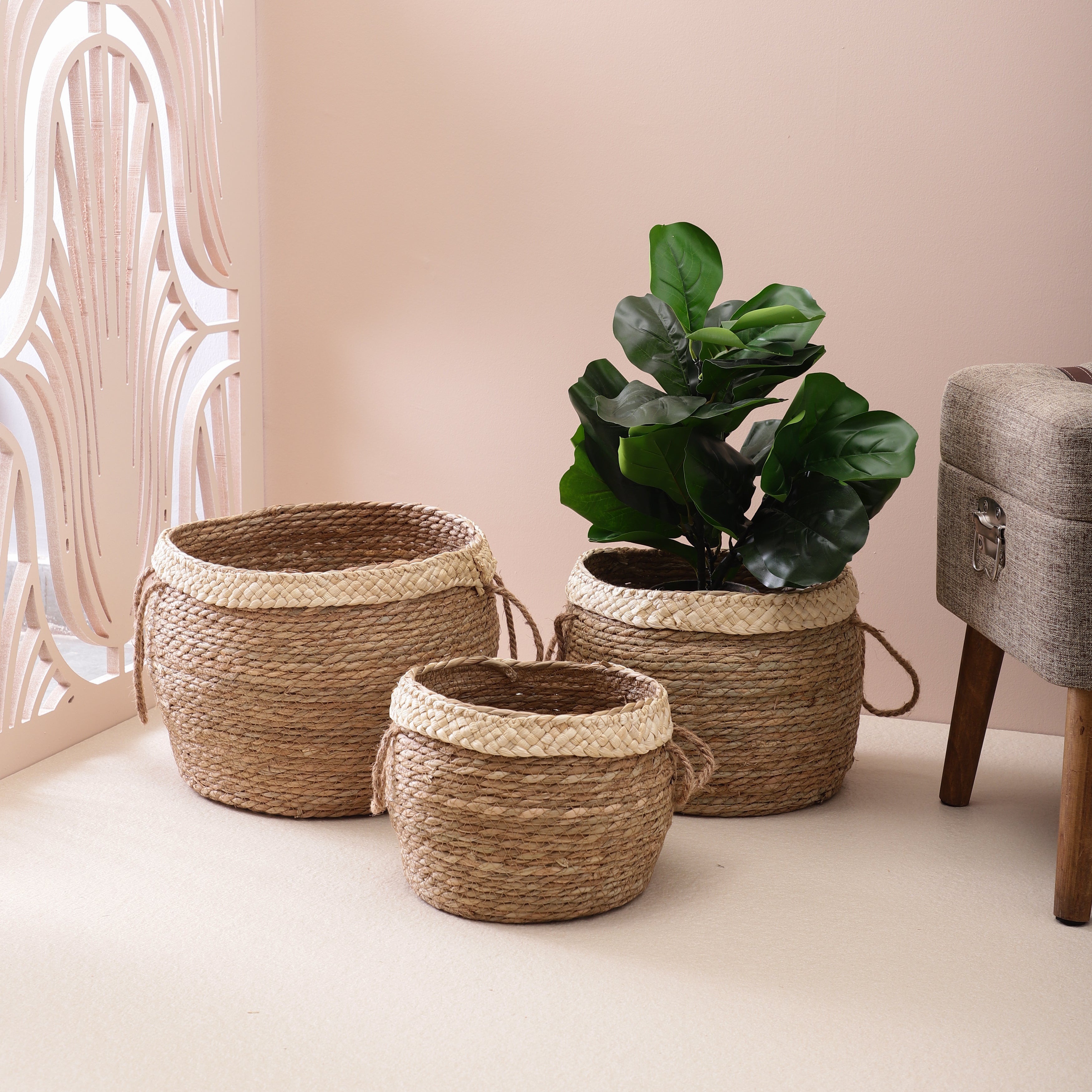 Jute Plant Baskets with Handle (Set of 3)