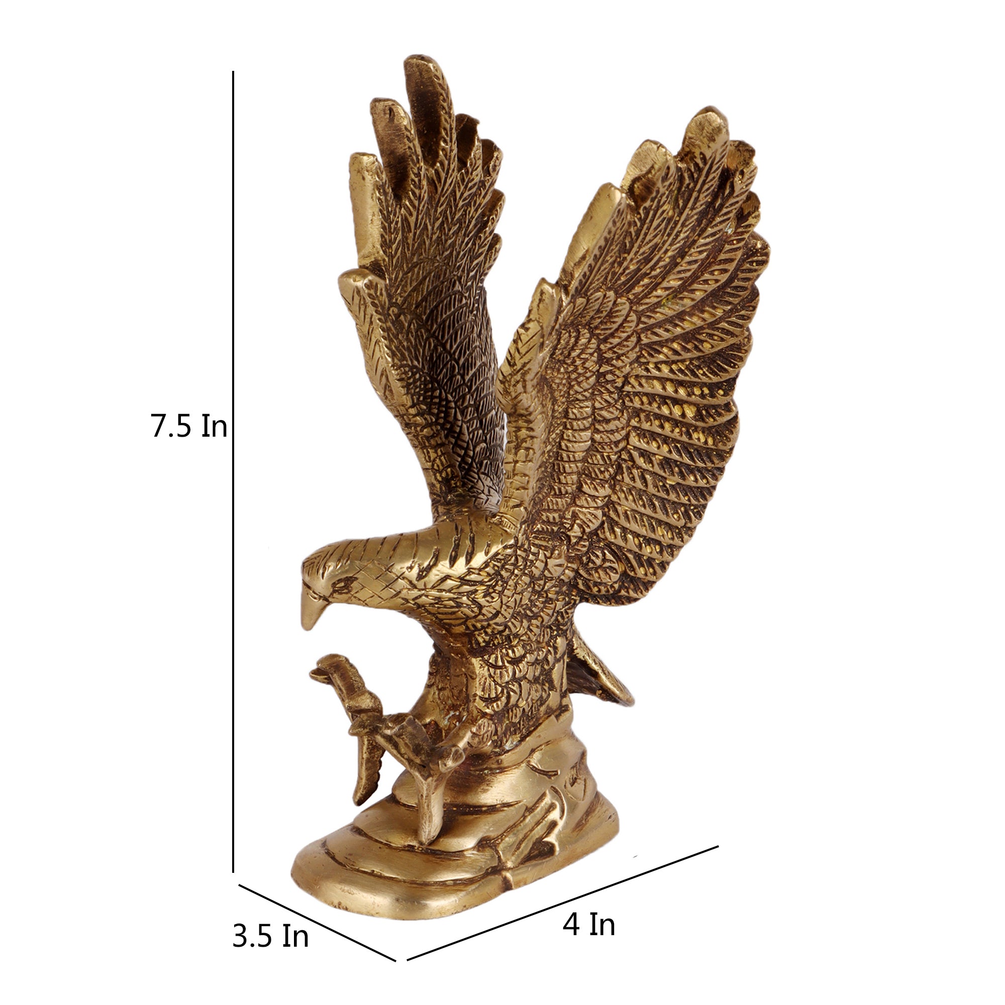 The Flying Eagle (Medium)