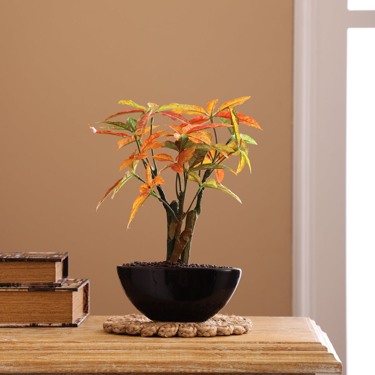 Plants