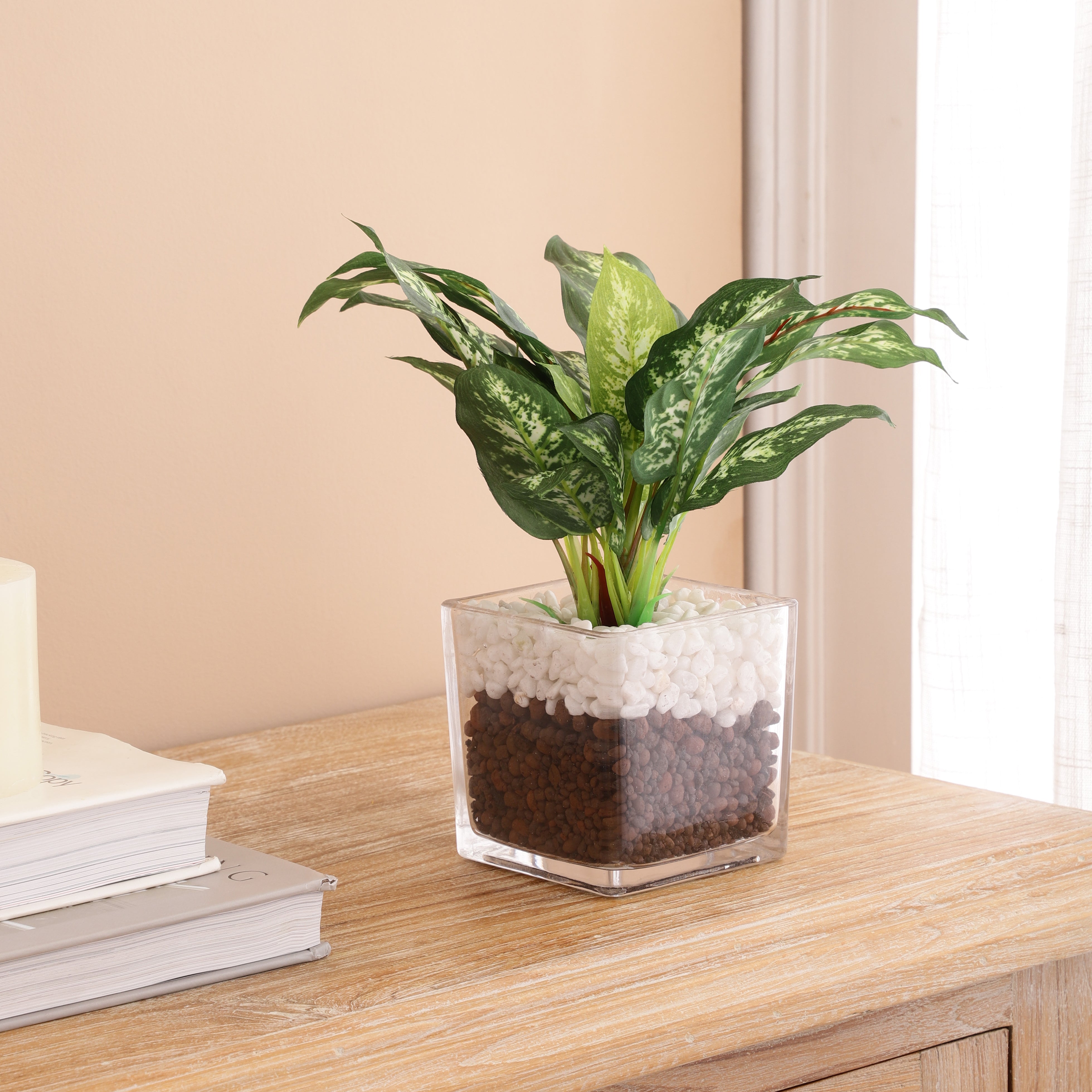 Dieffenbachia Faux Plant in Glass Pot