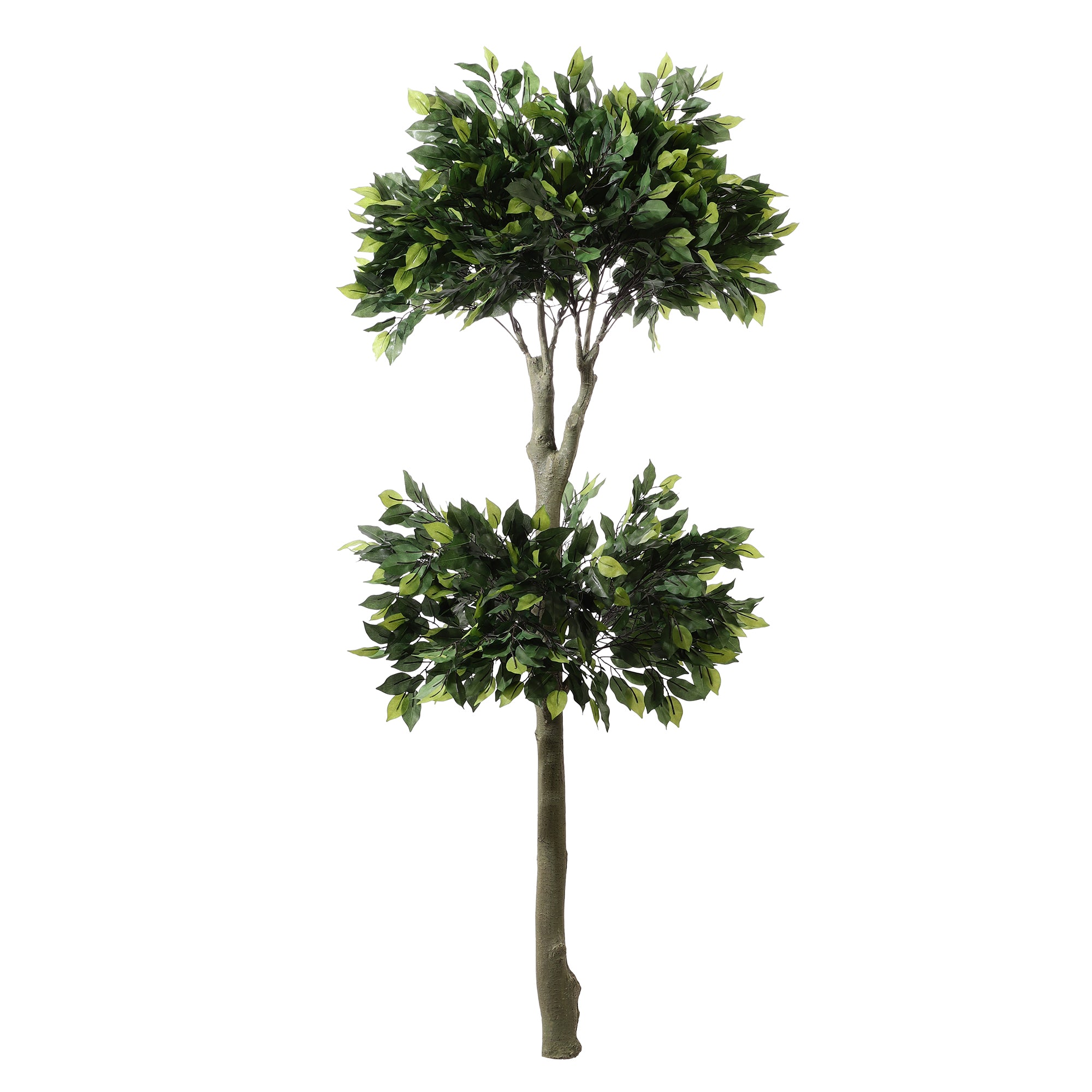 Ficus Bonsai Faux Plant Without Pot