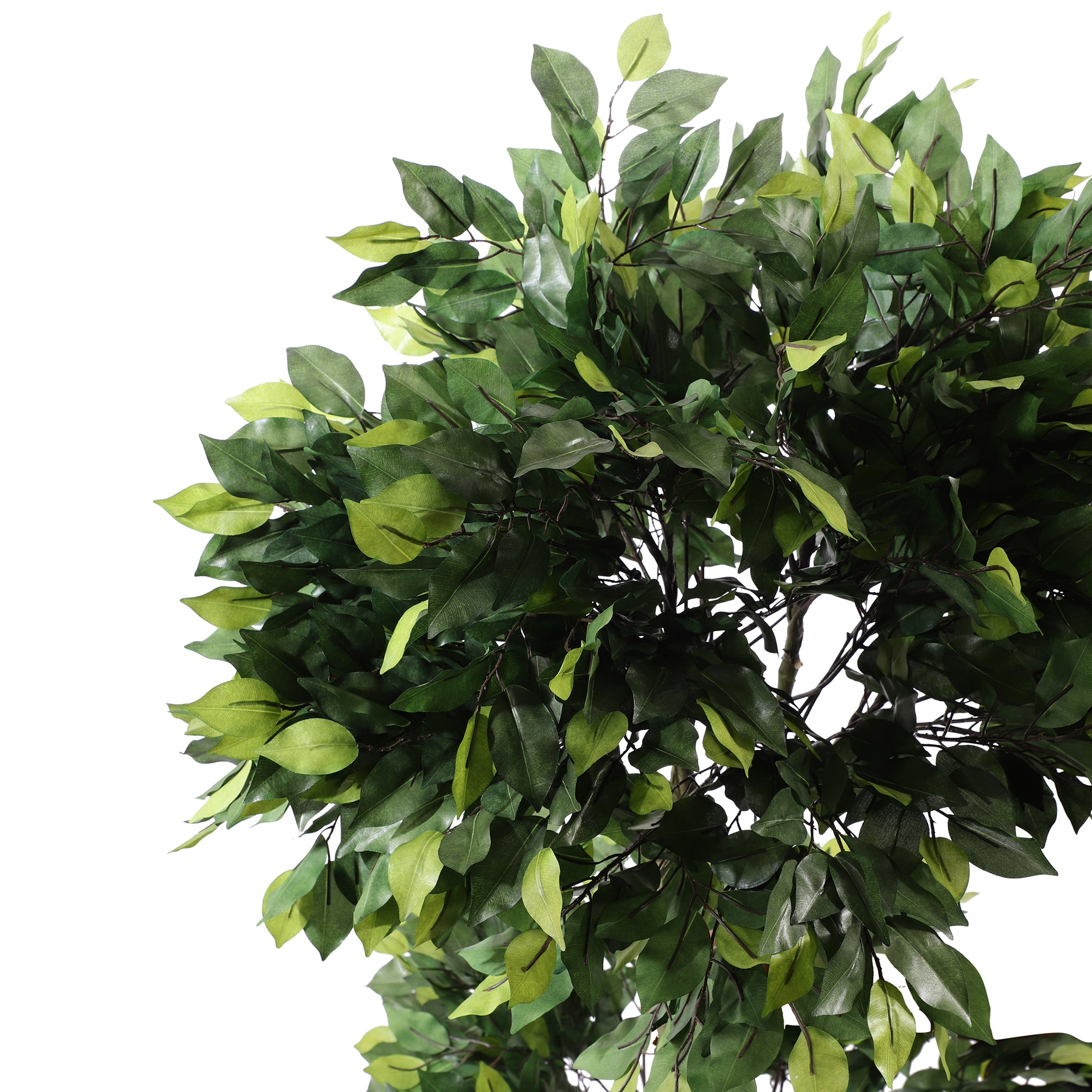 Ficus Bonsai Faux Plant Without Pot