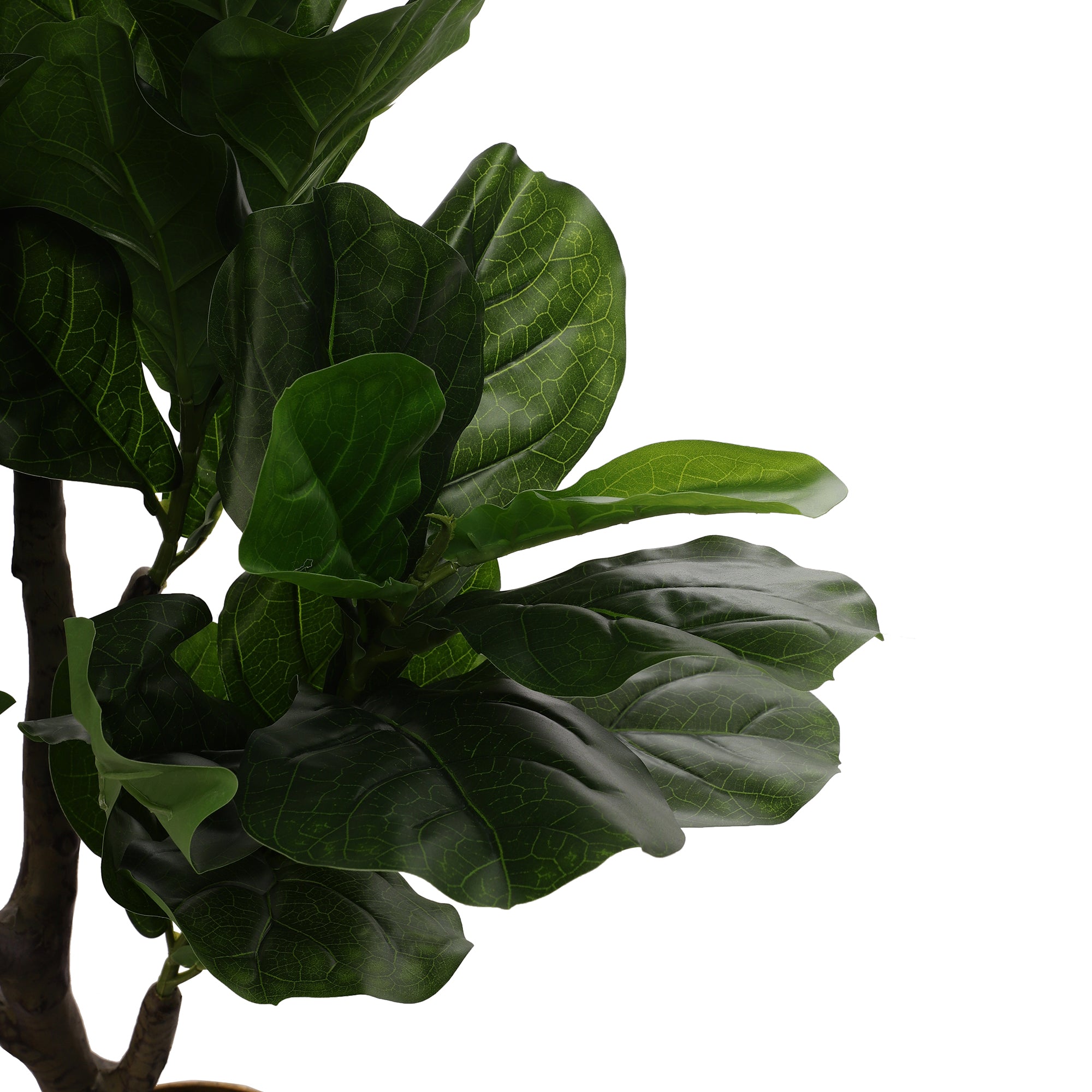 Fiddle Leaf Fig Faux Plant (Tall)