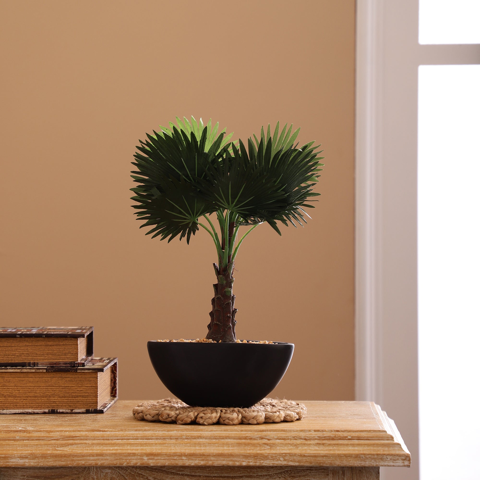 Bismarckia Faux Bonsai Ceramic Potted Plant