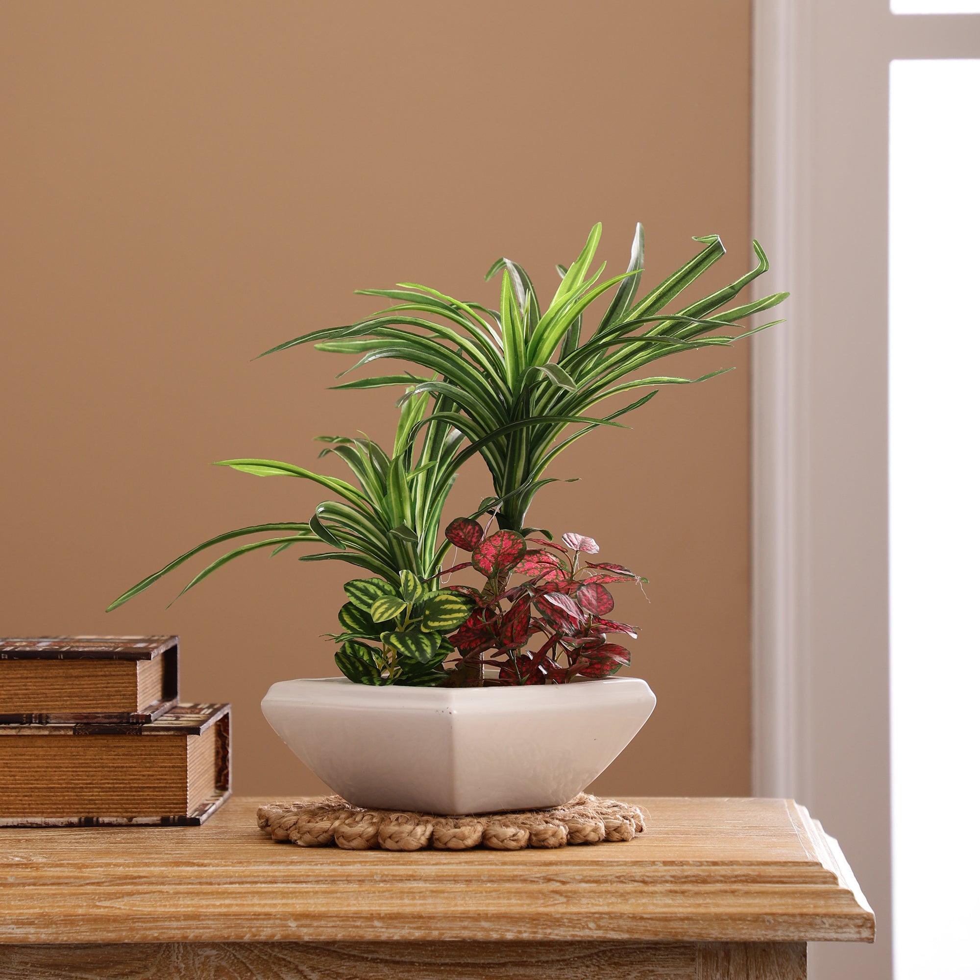 Dracaena and Wandering Jew Faux Bonsai Ceramic Potted Plant