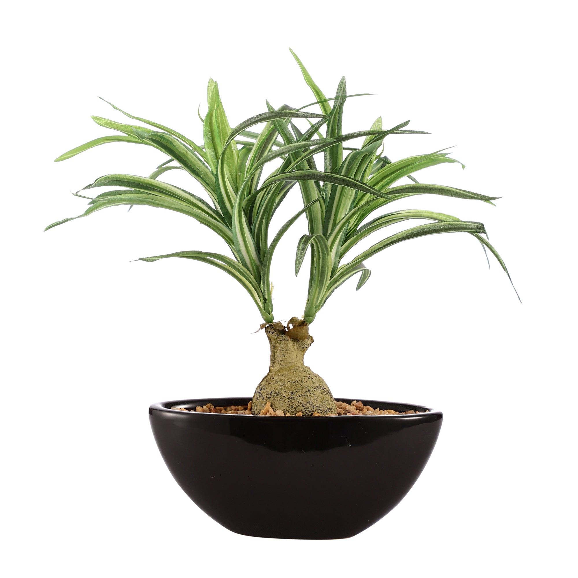 Spider Plant Bonsai Ceramic Potted Plant