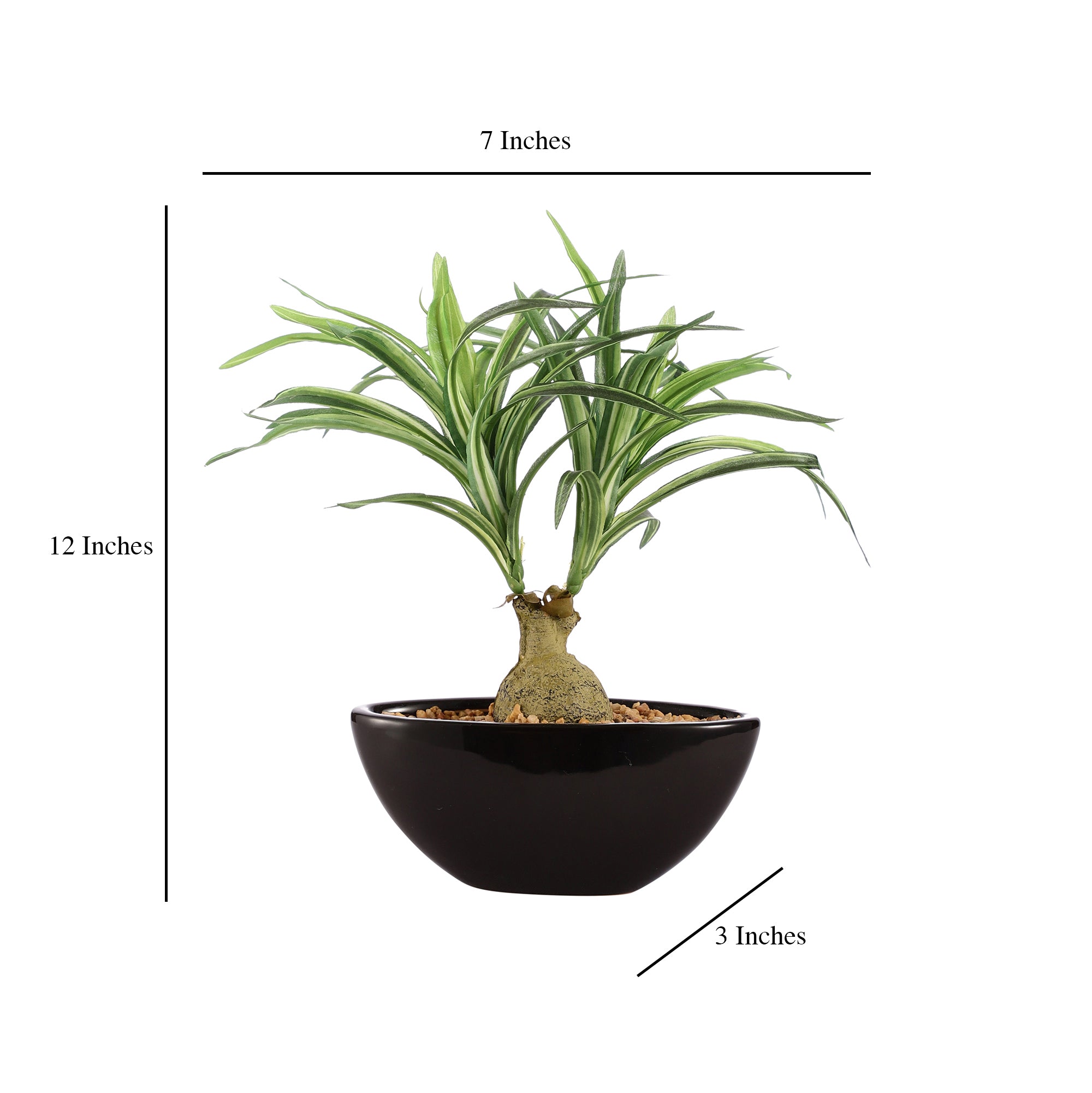 Spider Plant Bonsai Ceramic Potted Plant