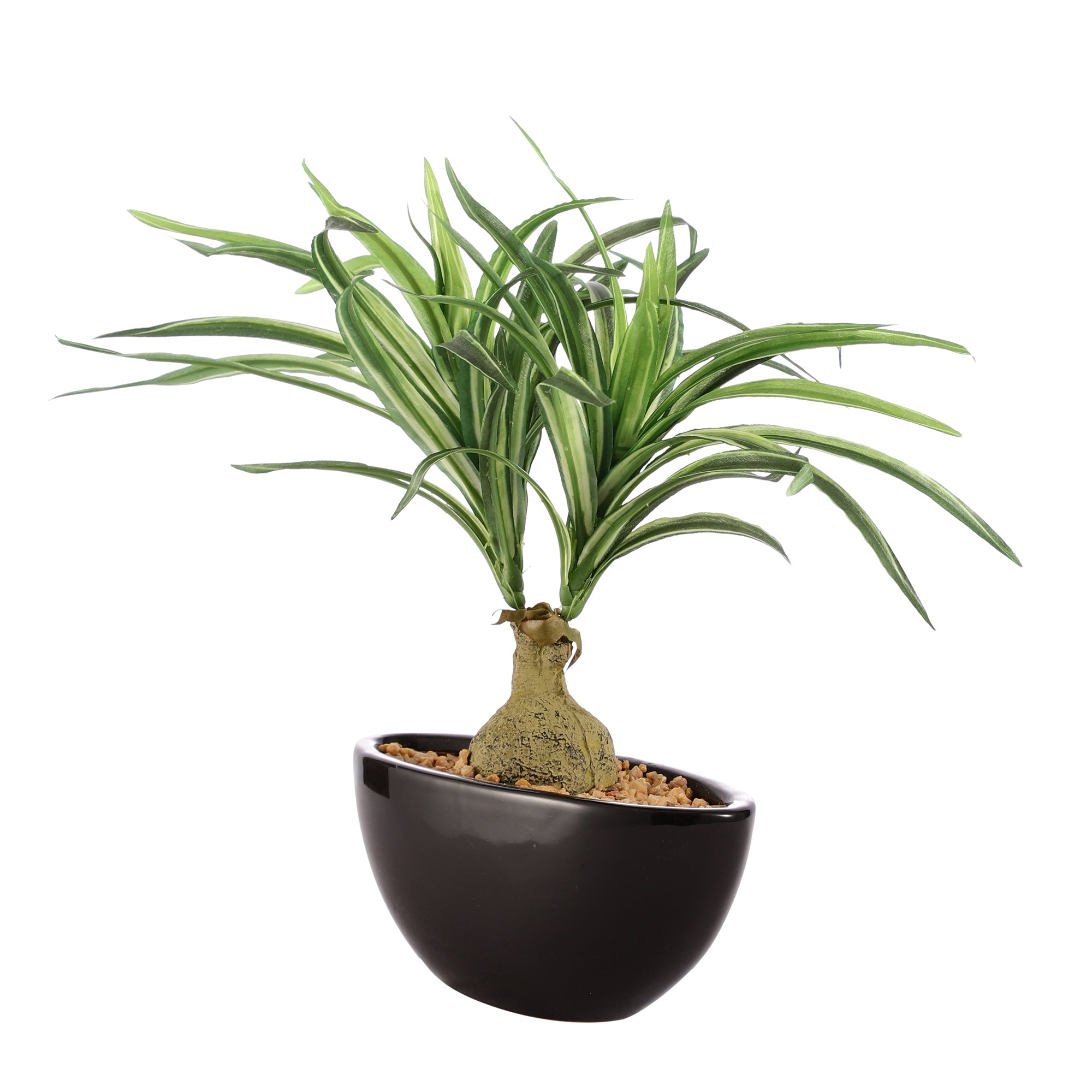 Spider Plant Bonsai Ceramic Potted Plant