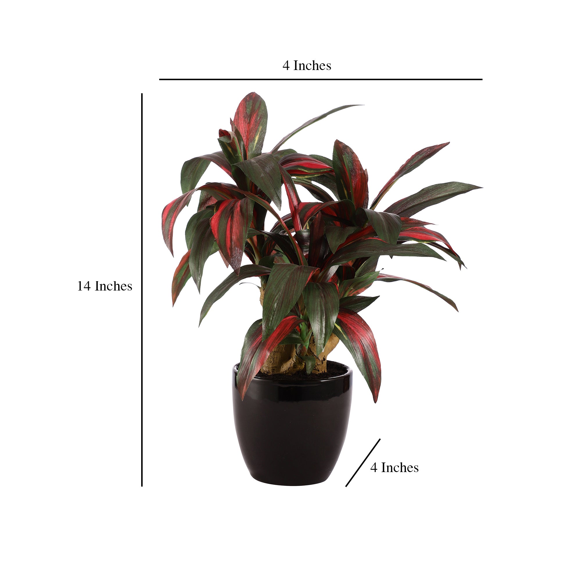 Ruby Red Dracaena Bonsai Ceramic Potted Plant