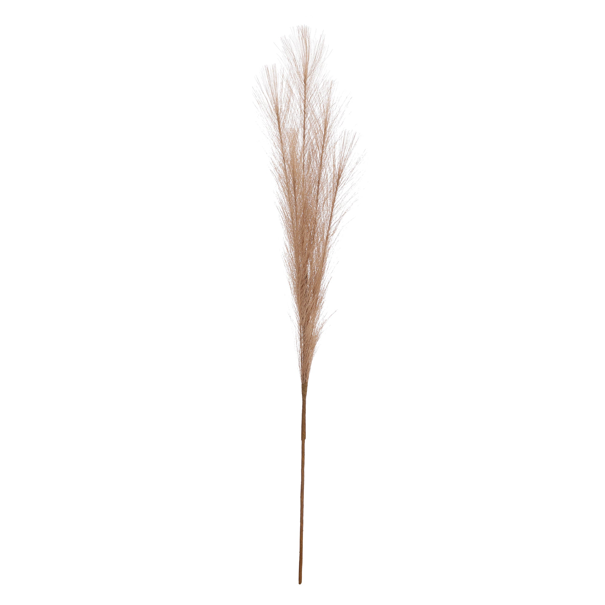 Beige Faux Pampas Grass (Set of 5)